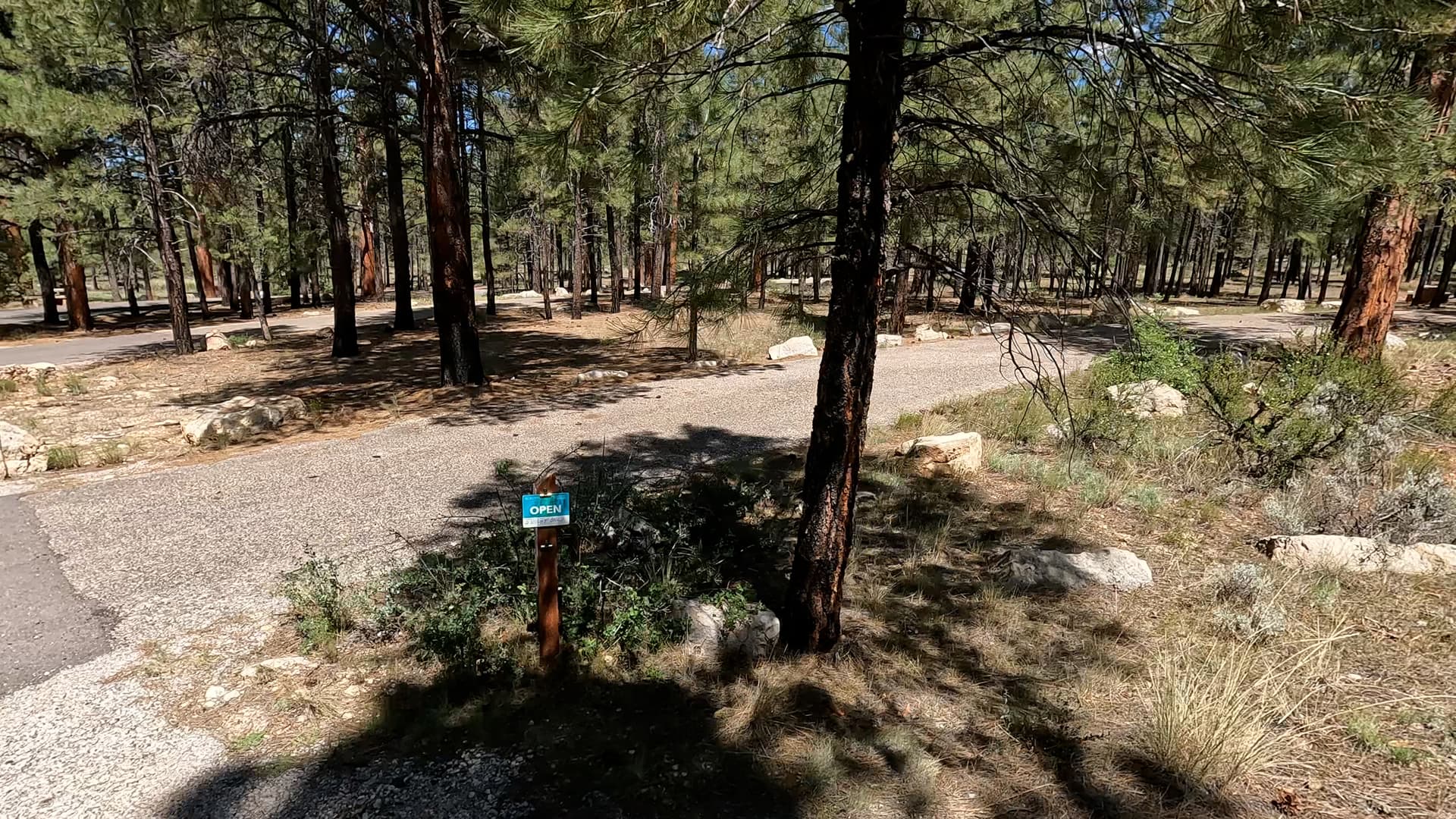 Site S16