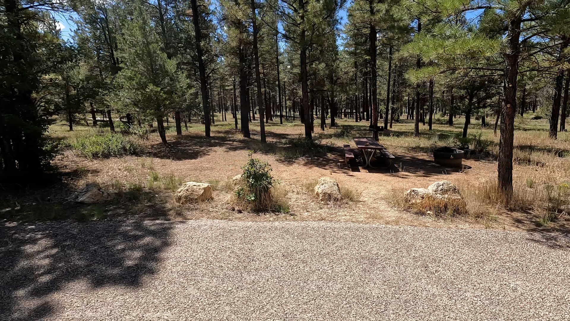 Site S19