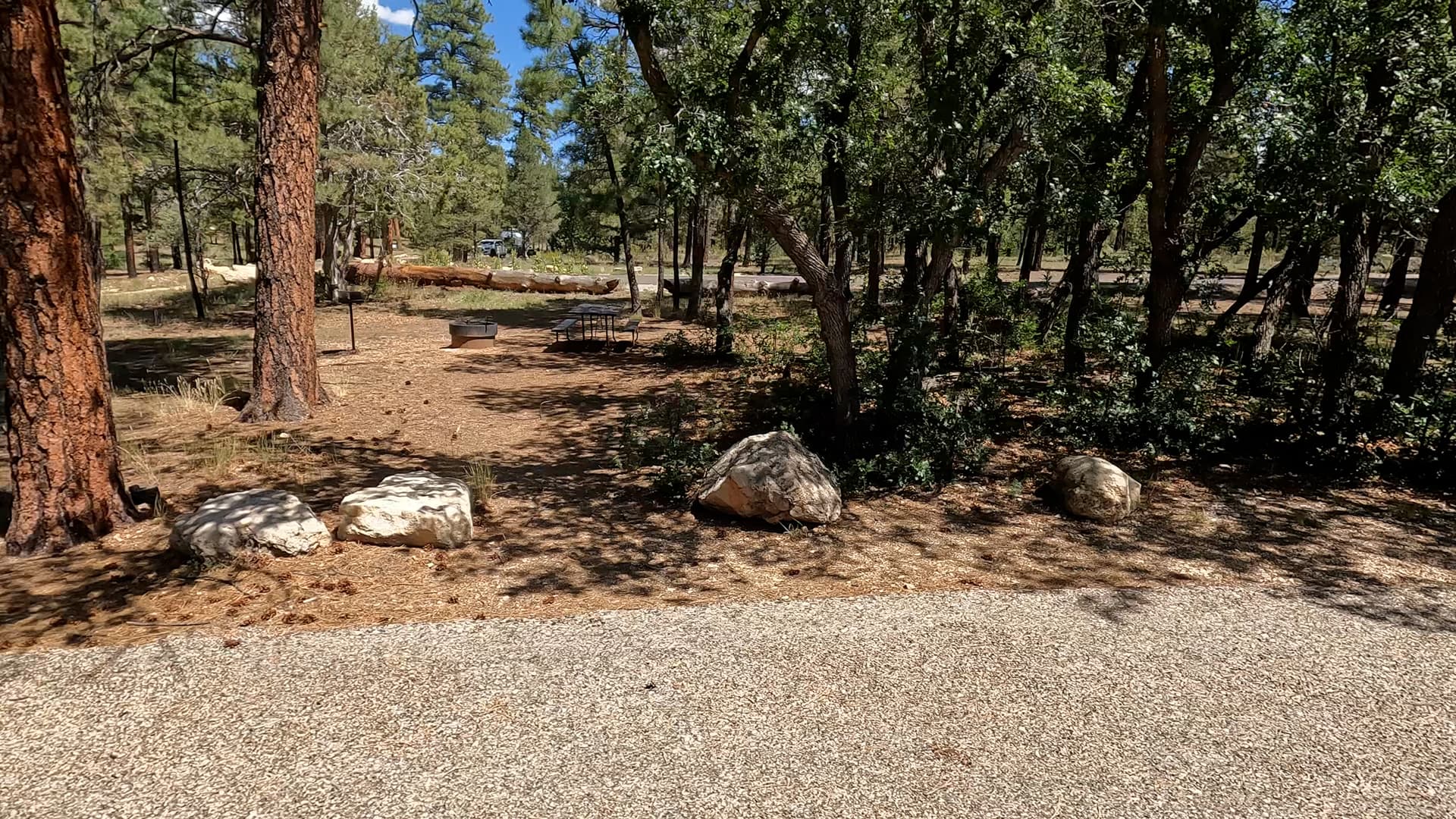 Site S10