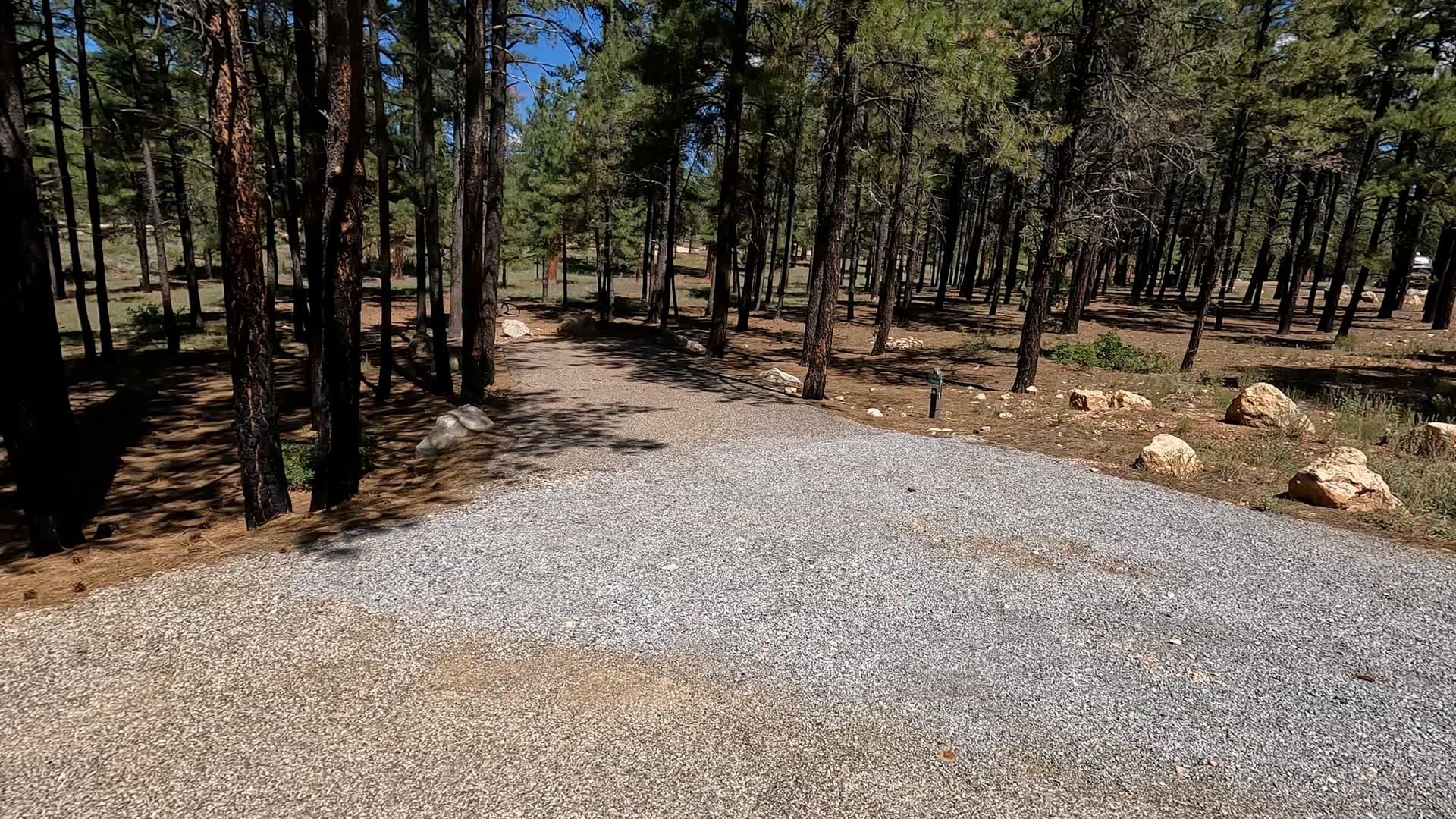 Site S11