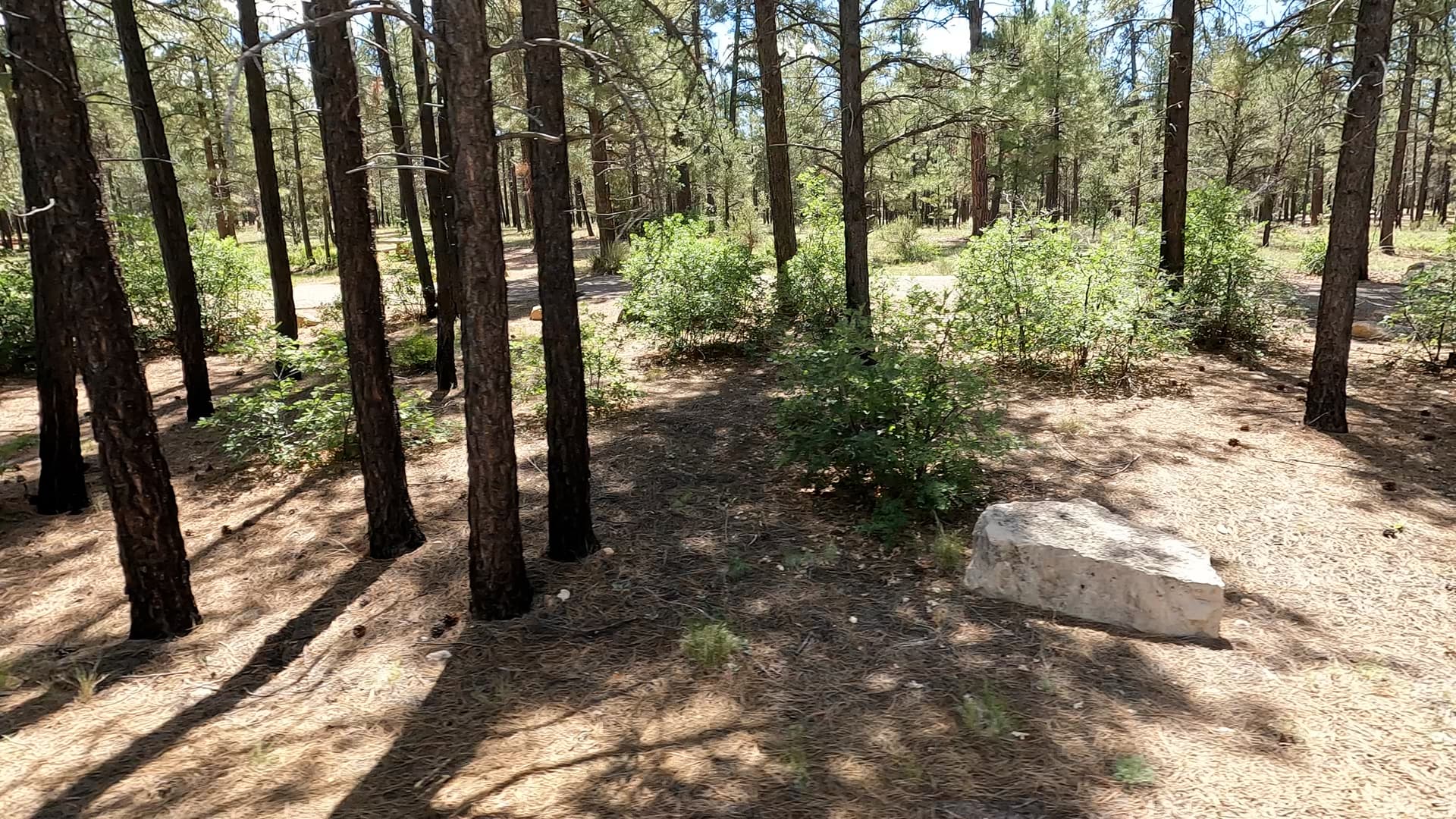 Site S12