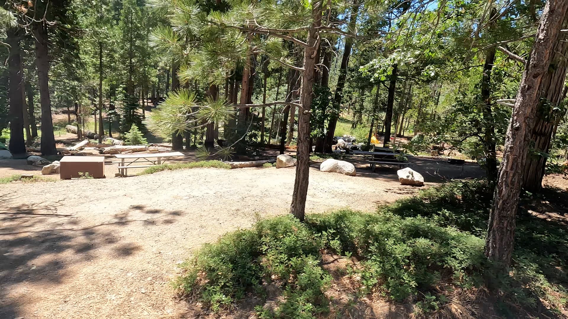 Site 6