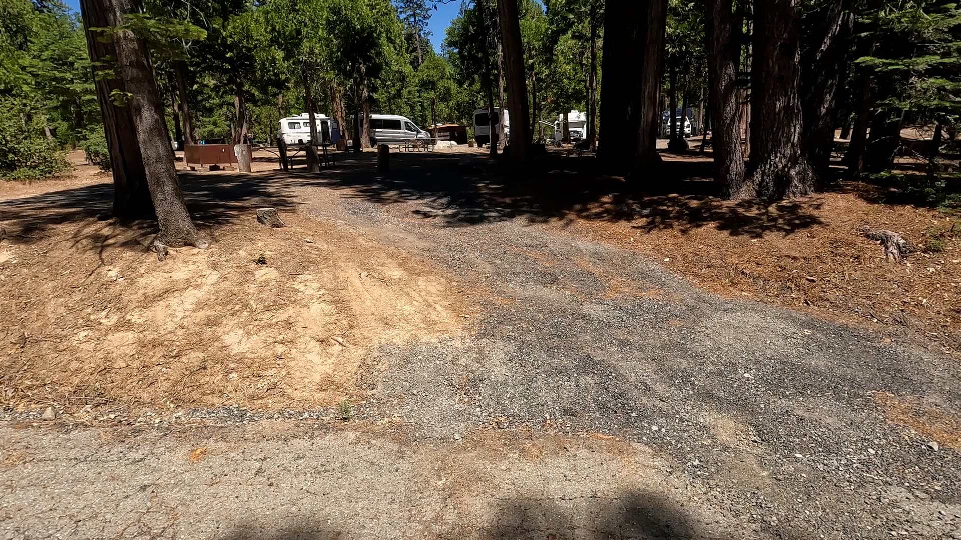 Site 4