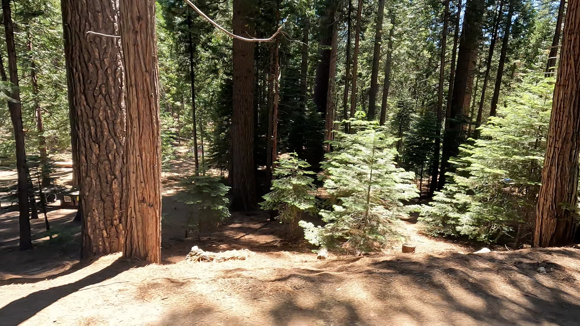 Site 24