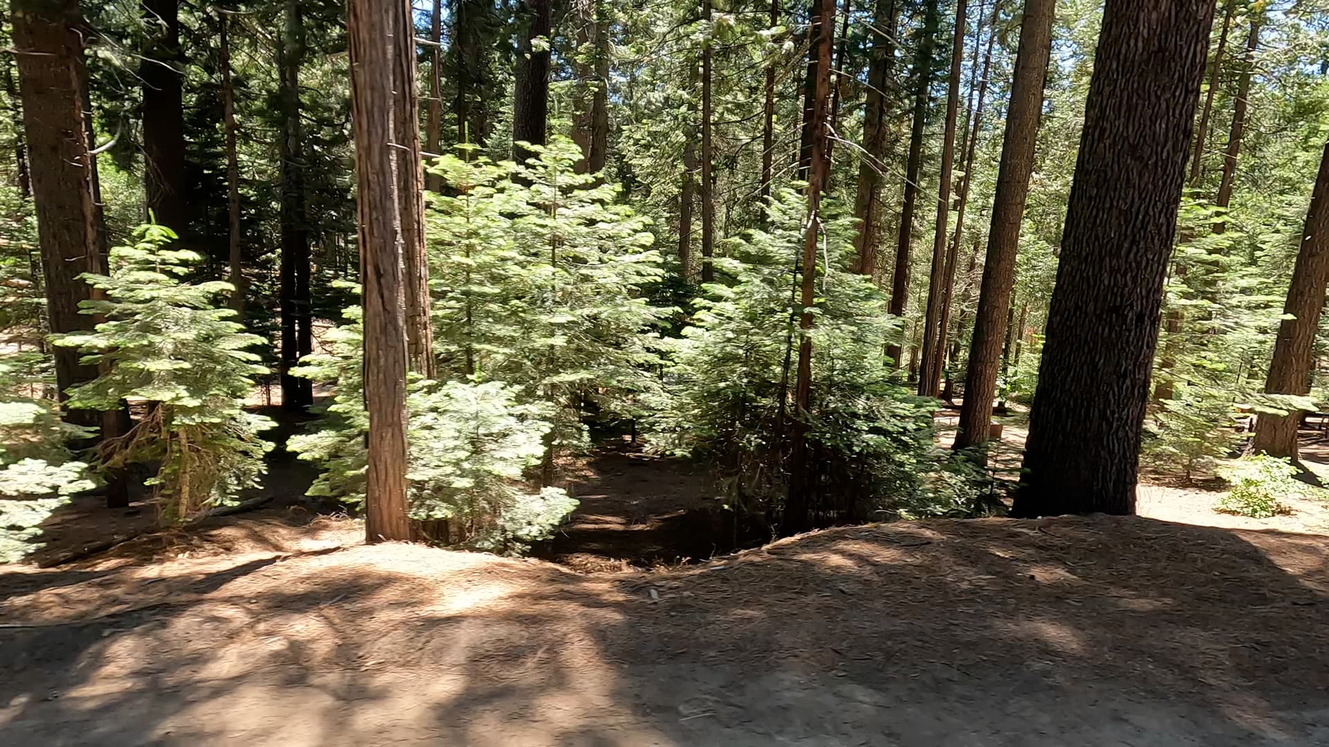 Site 23