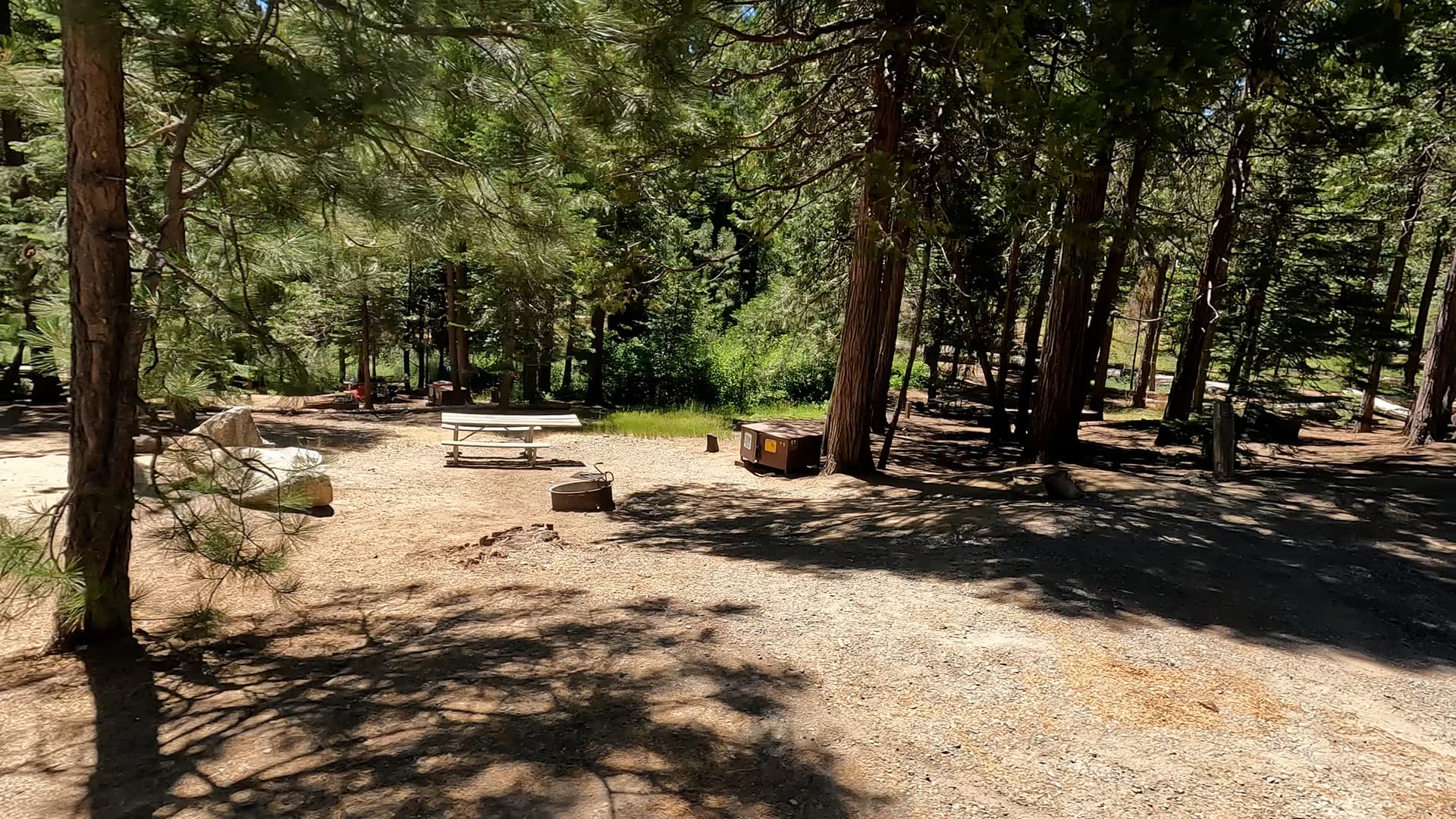 Site 11