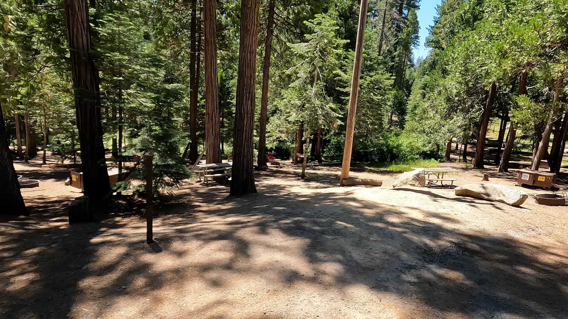 Site 12