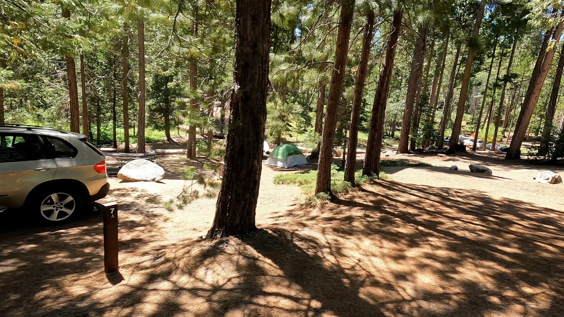 Site 7