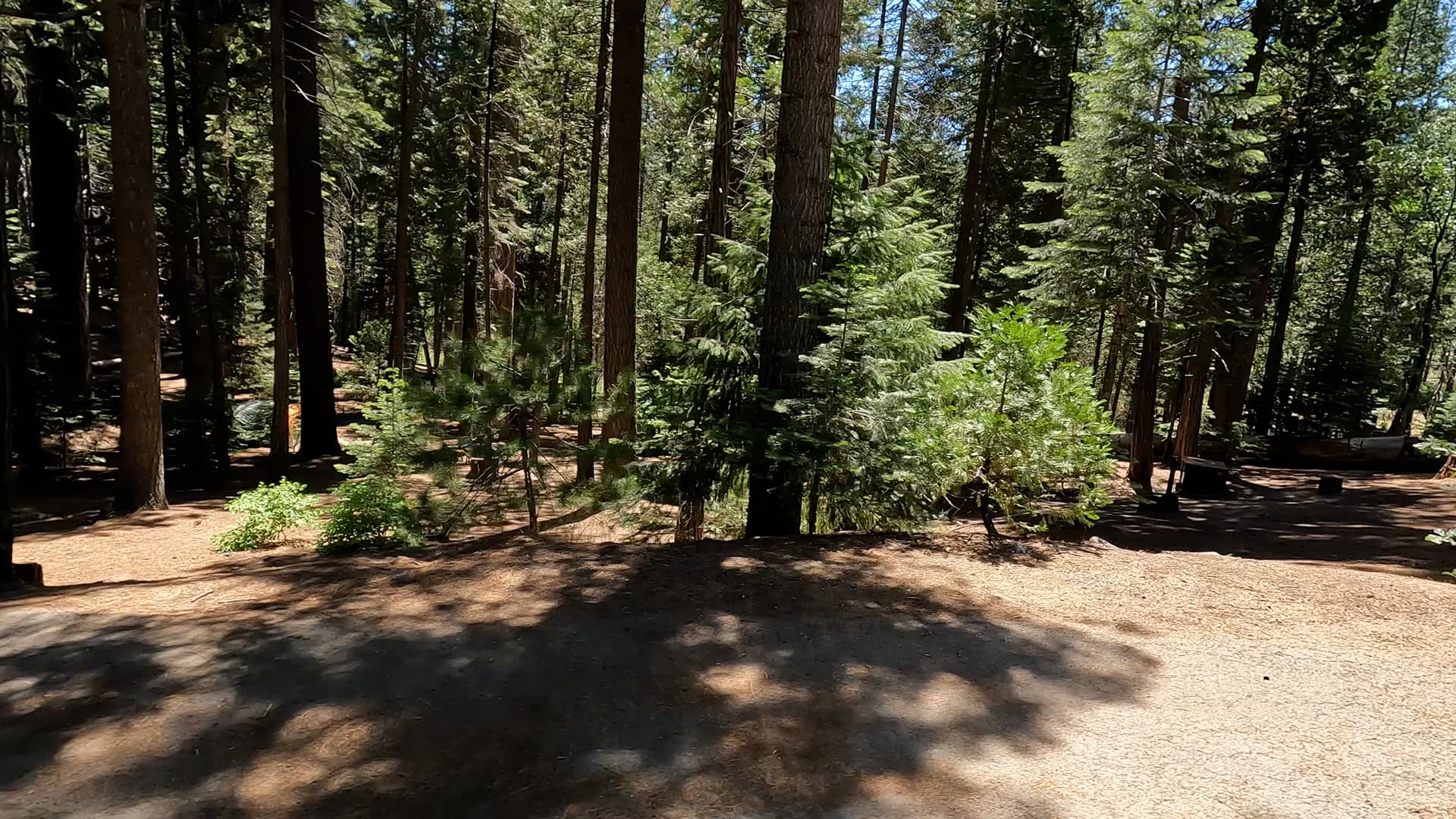 Site 21