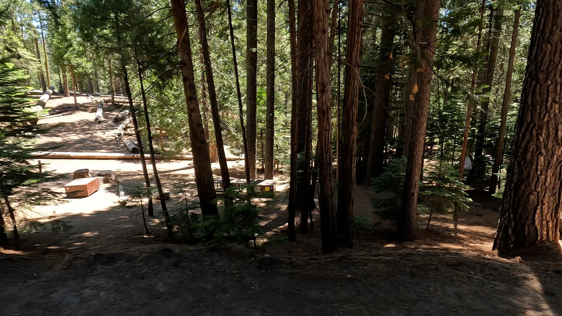 Site 25