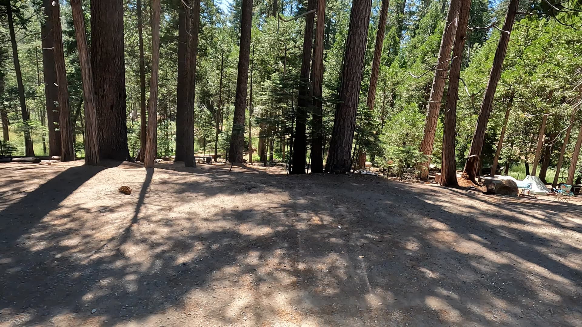 Site 18