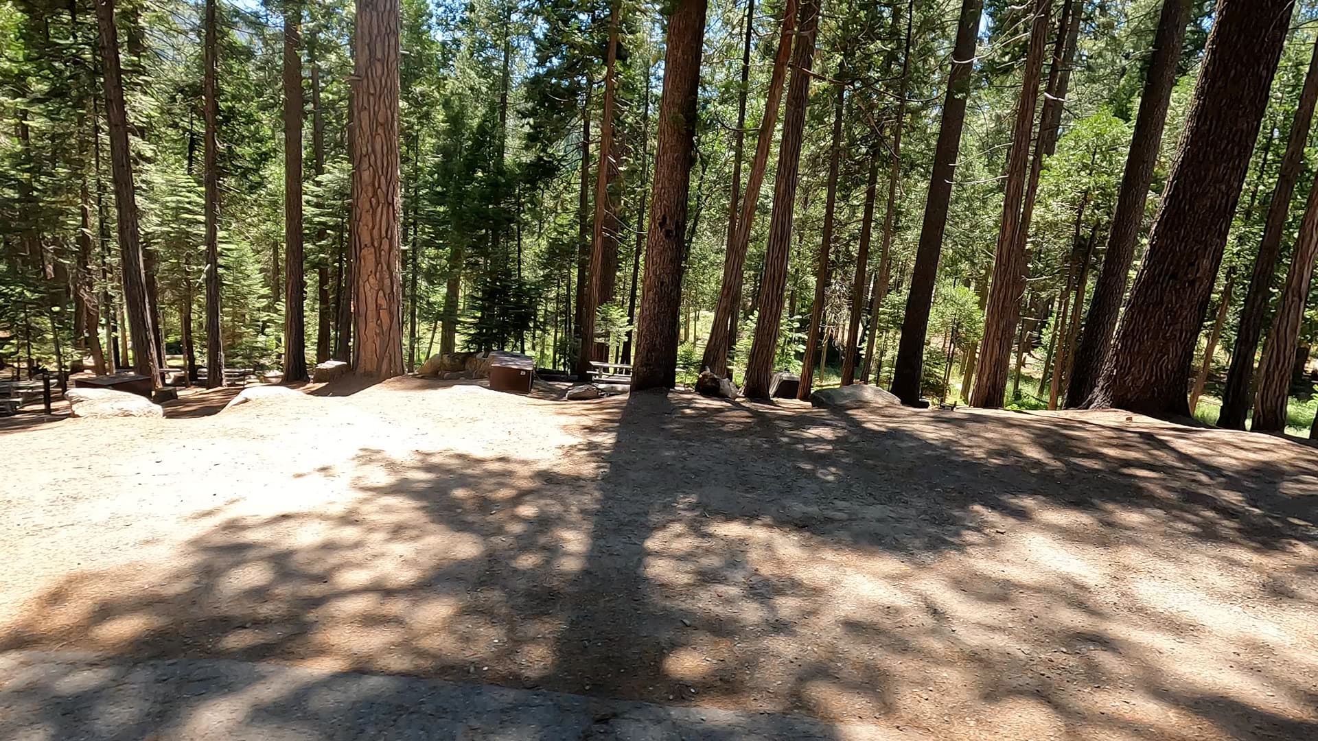 Site 19