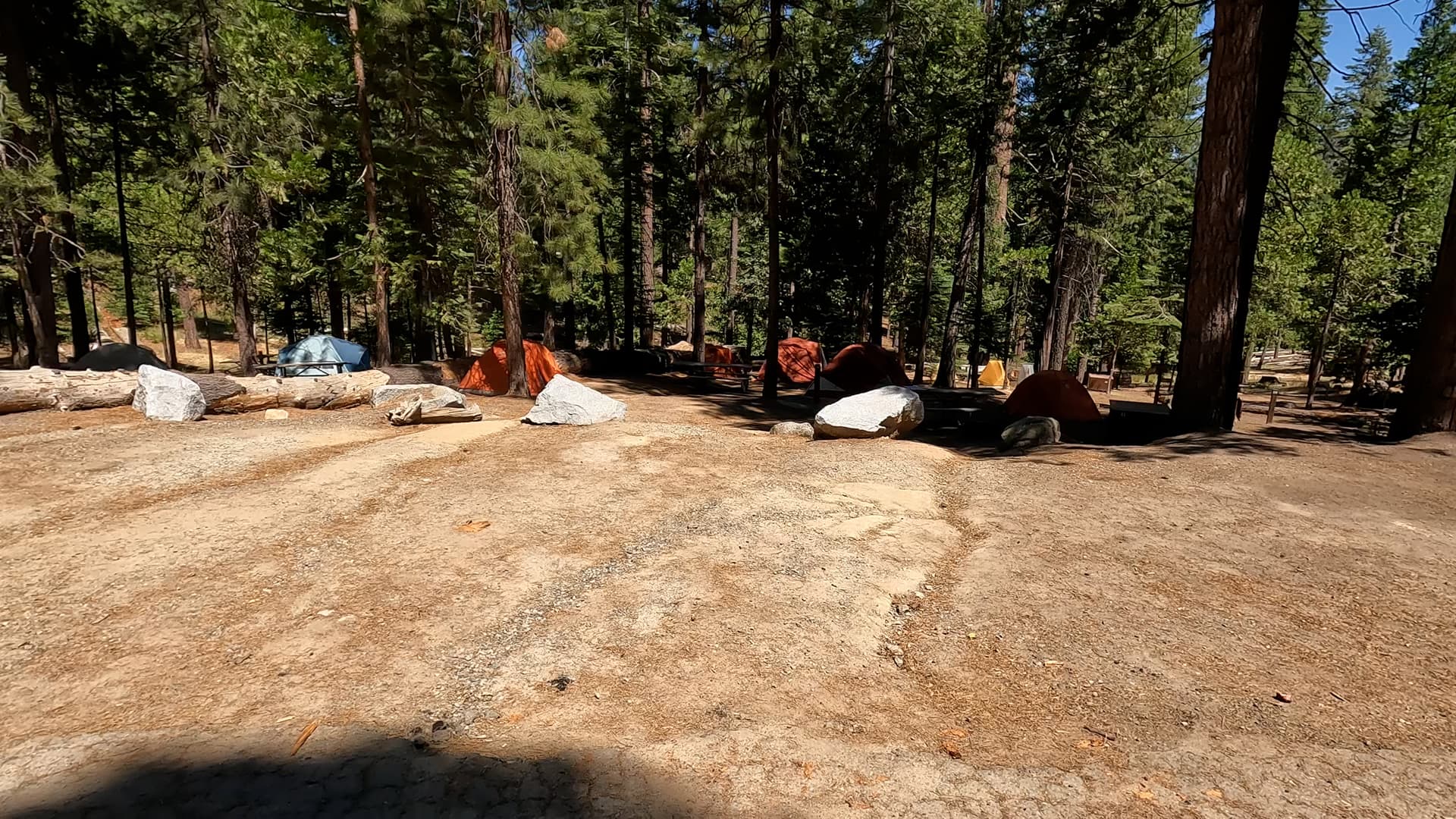Site 40