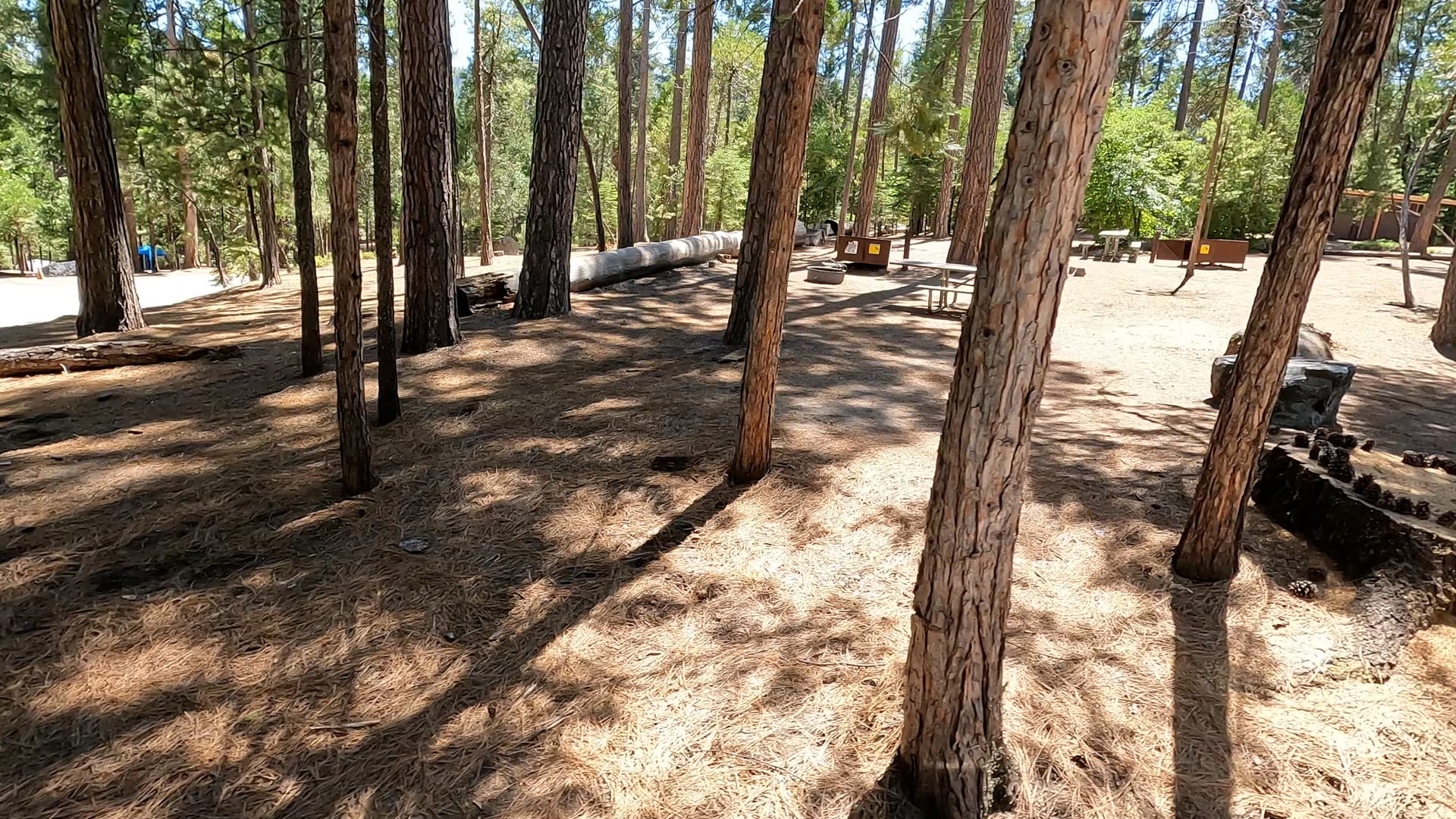 Site 47