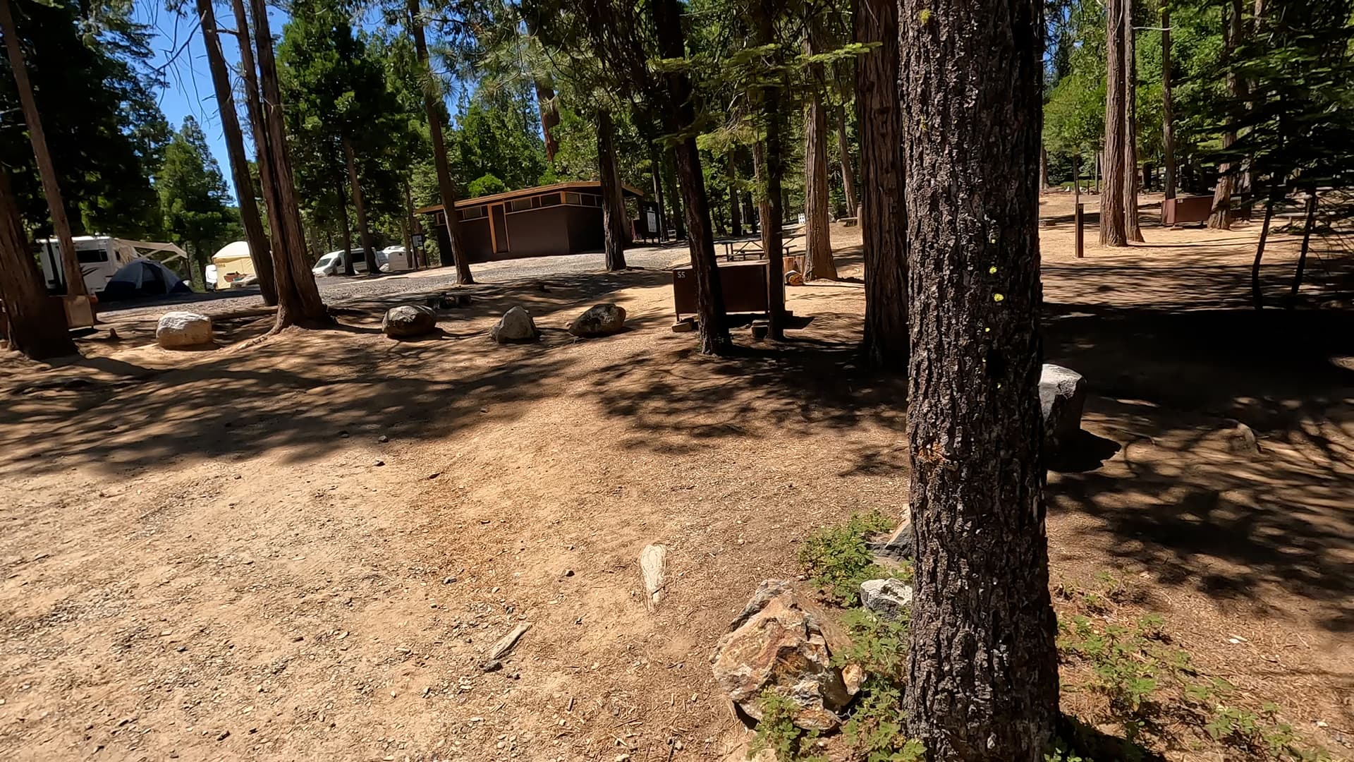 Site 54