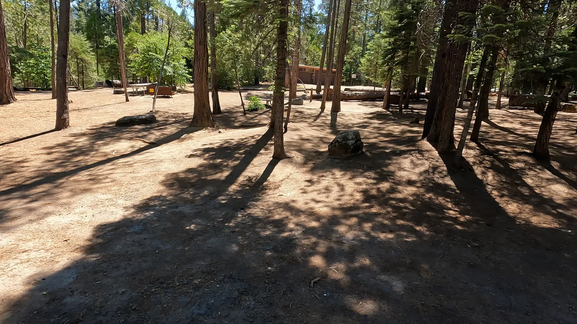 Site 49