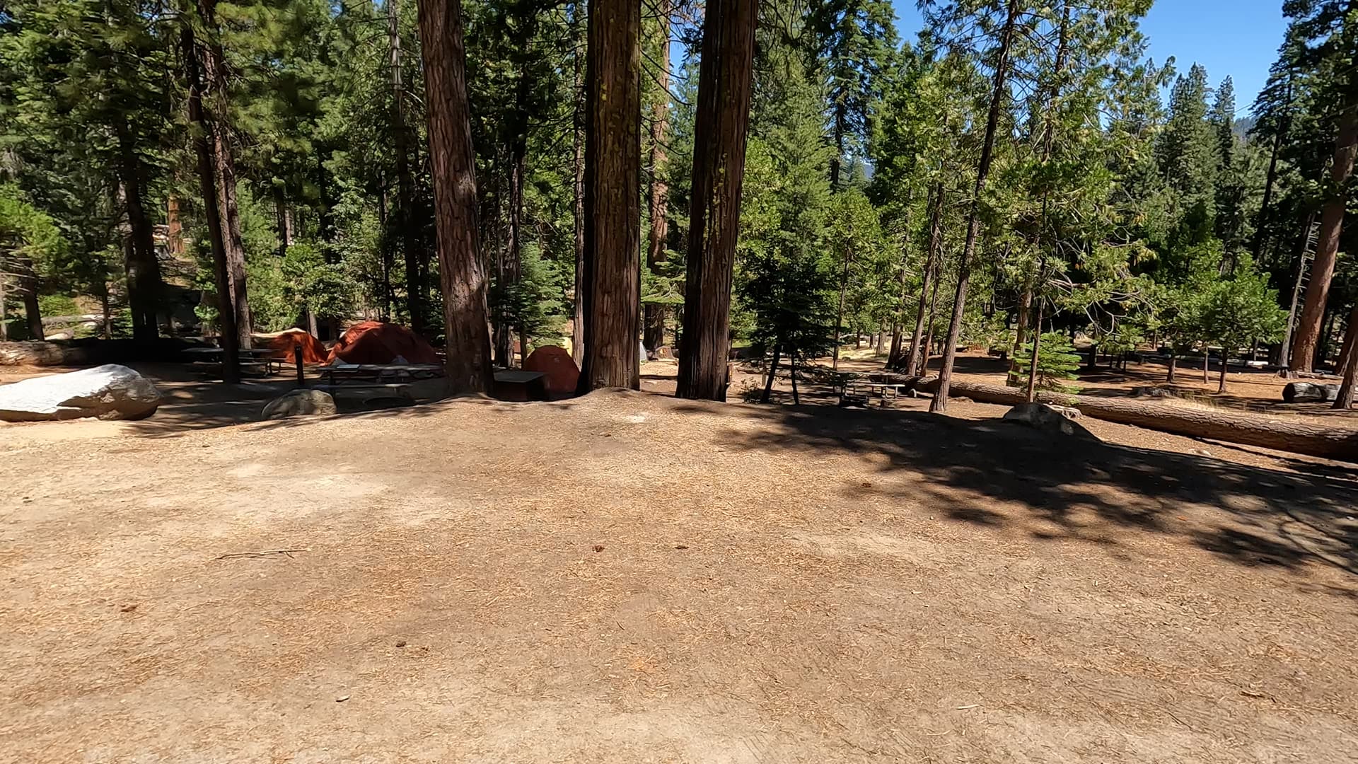 Site 38