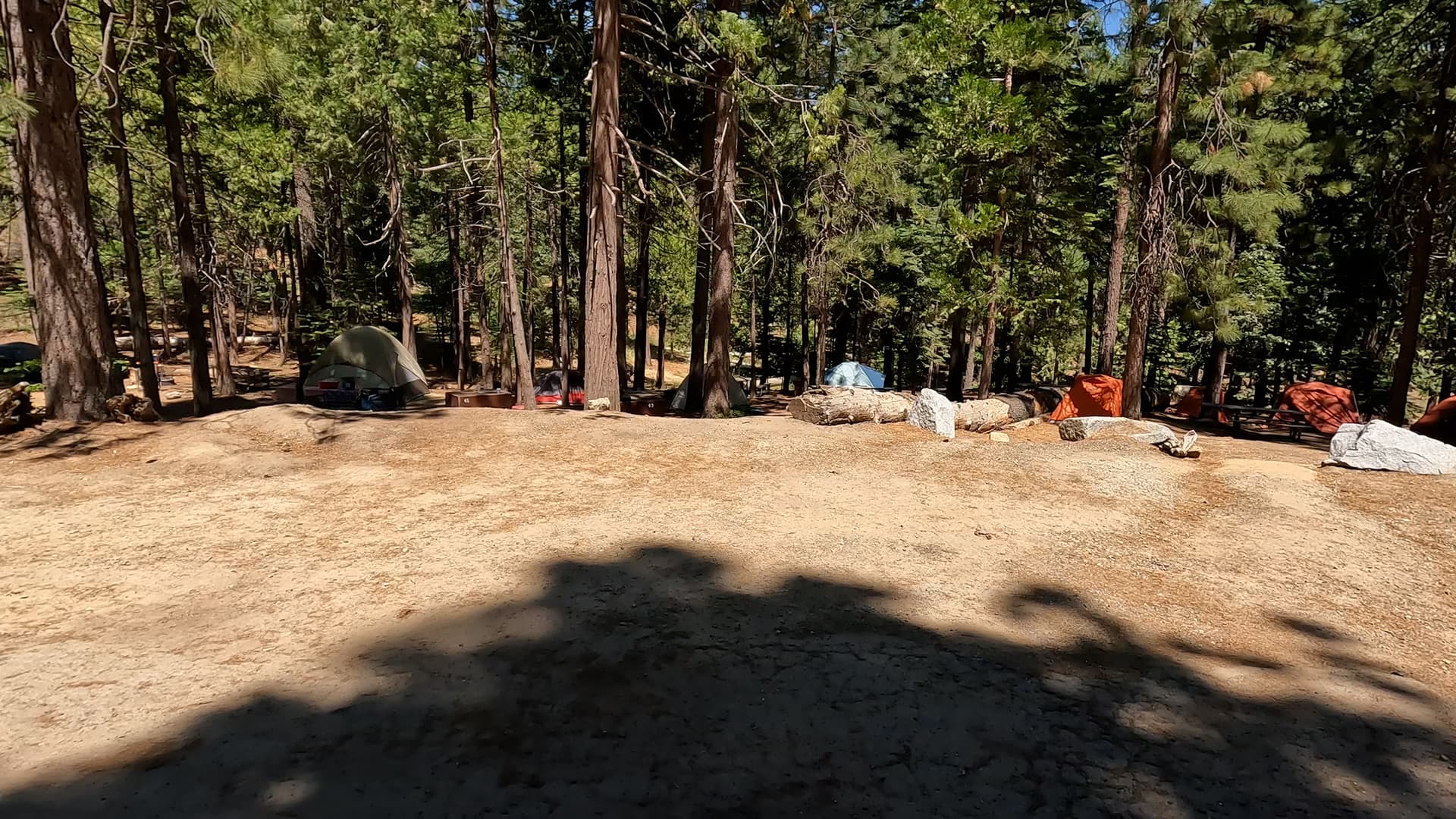 Site 42