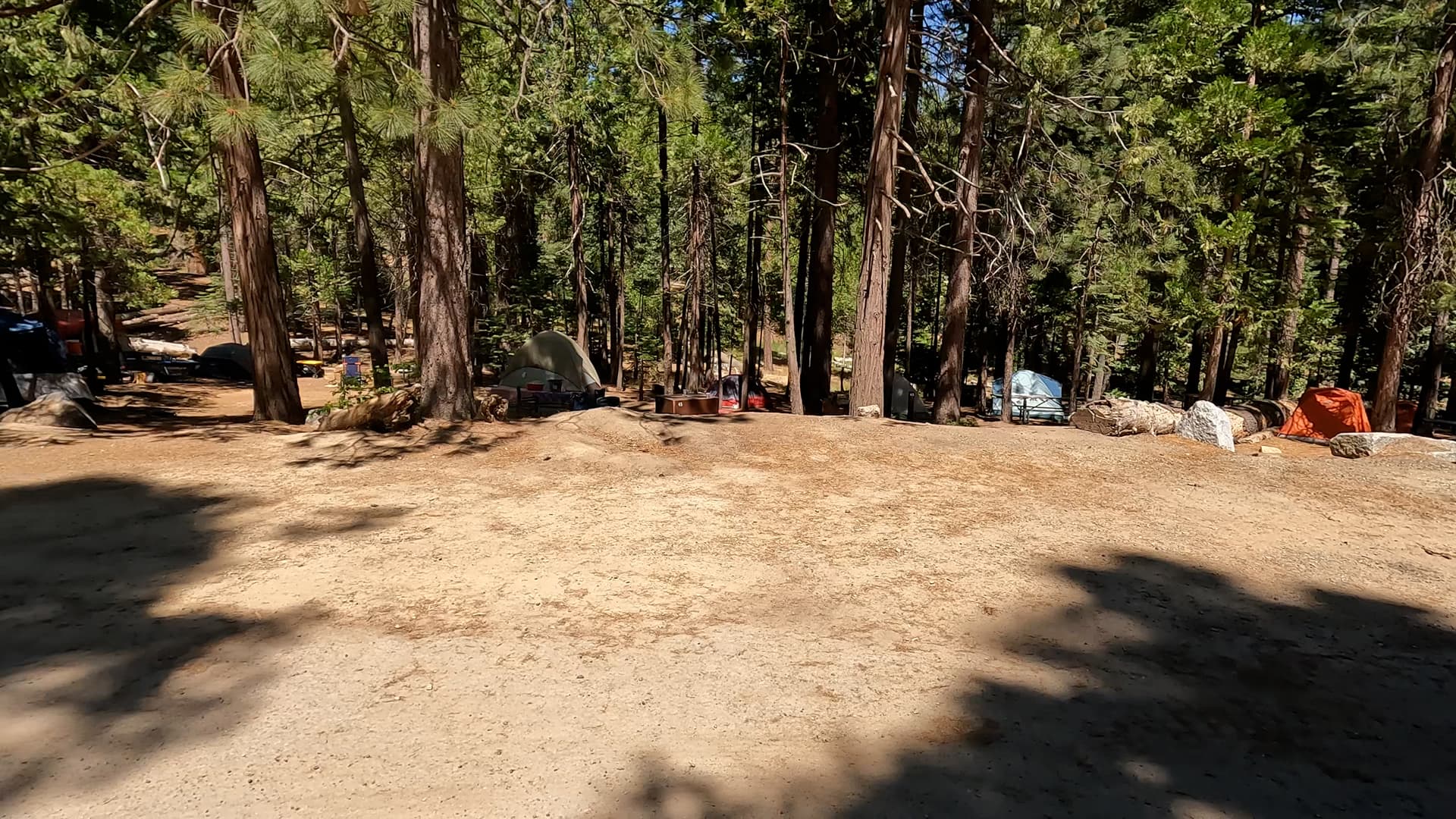 Site 43