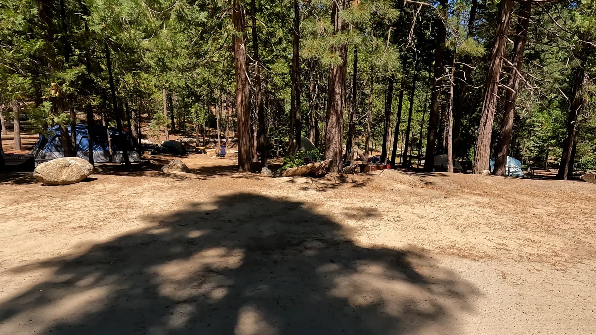 Site 44