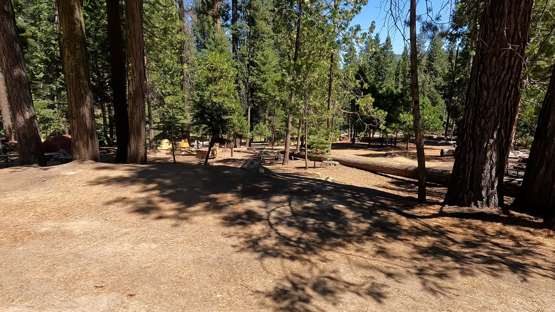 Site 37