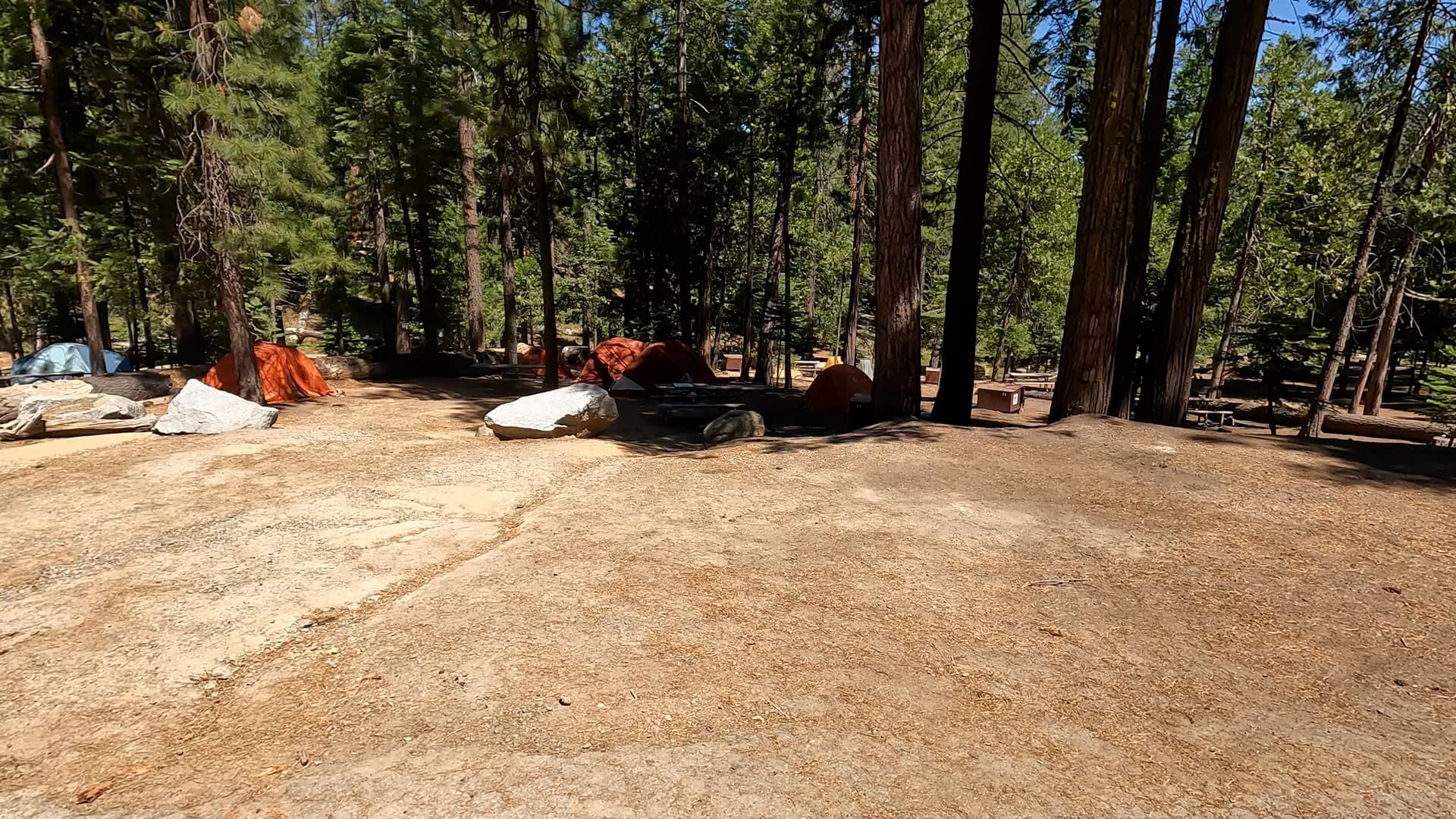 Site 39