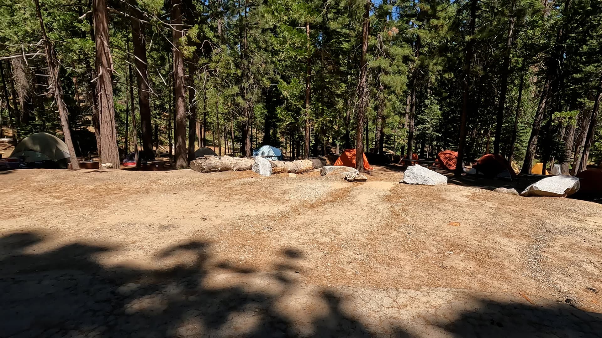 Site 41