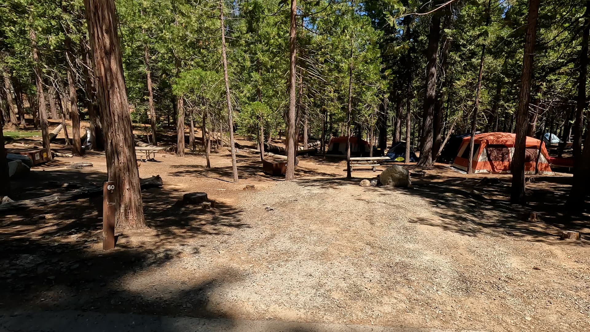 Site 60