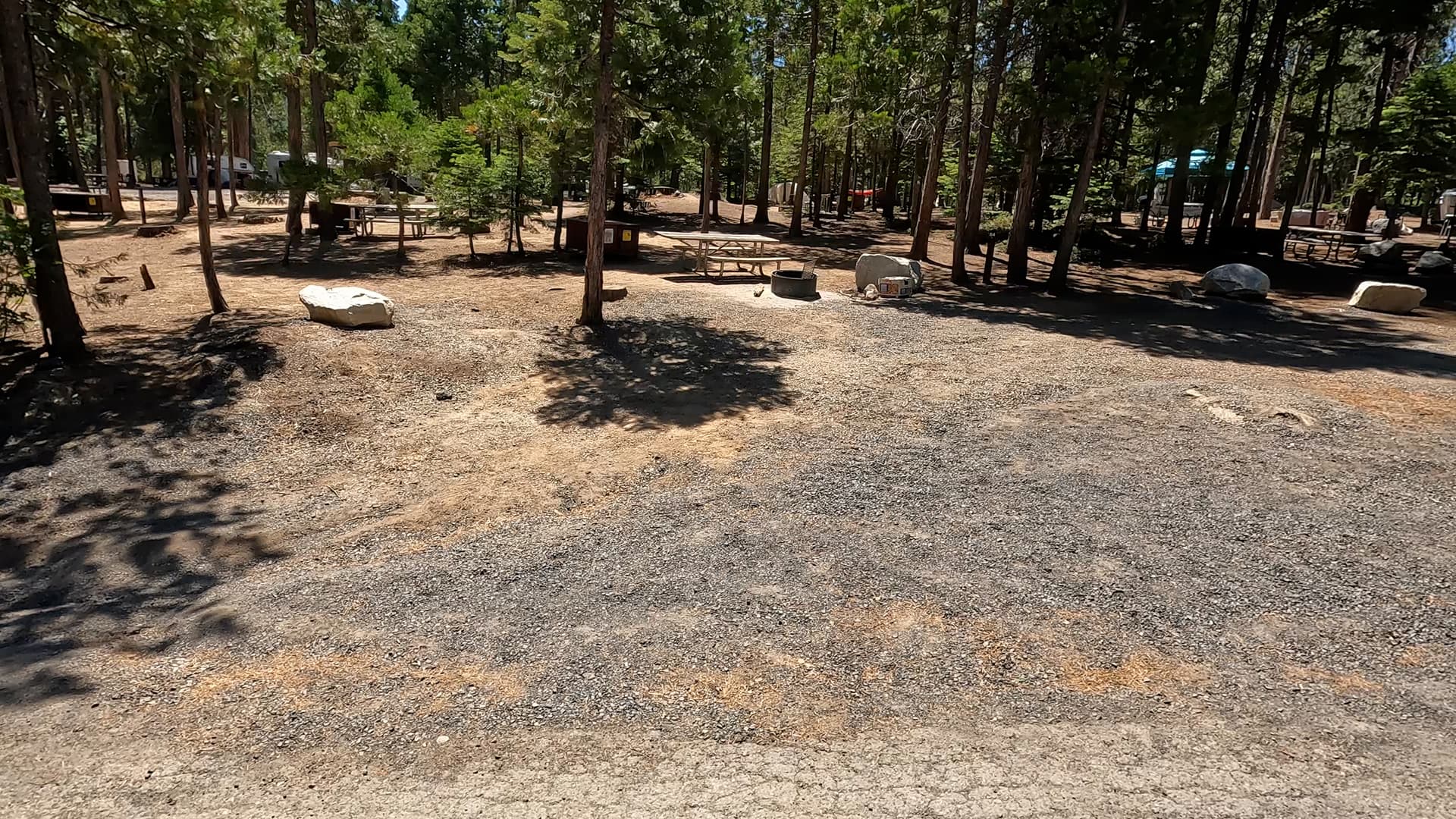 Site 64