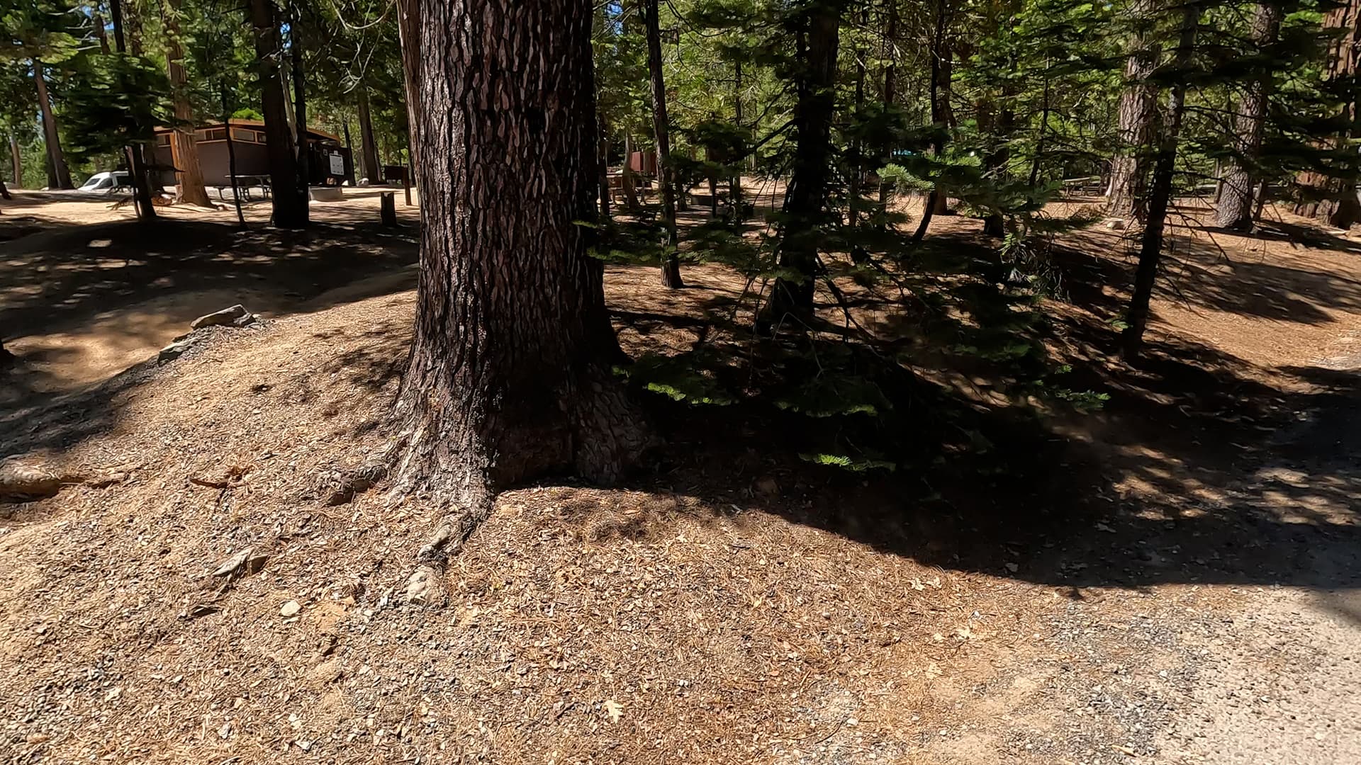 Site 56