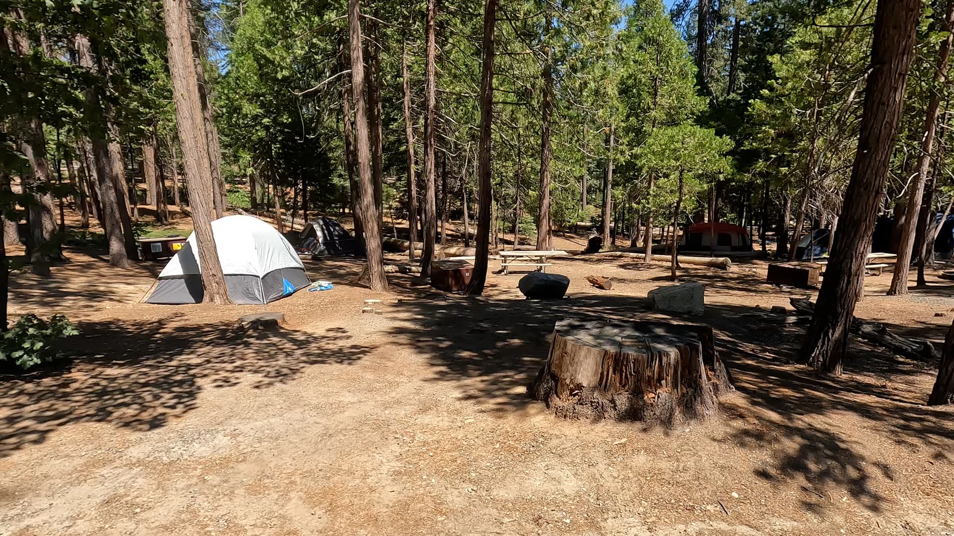 Site 61