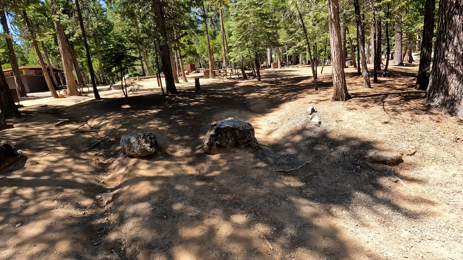 Site 55