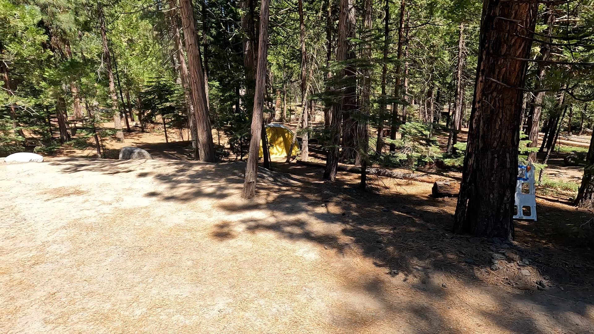 Site 65