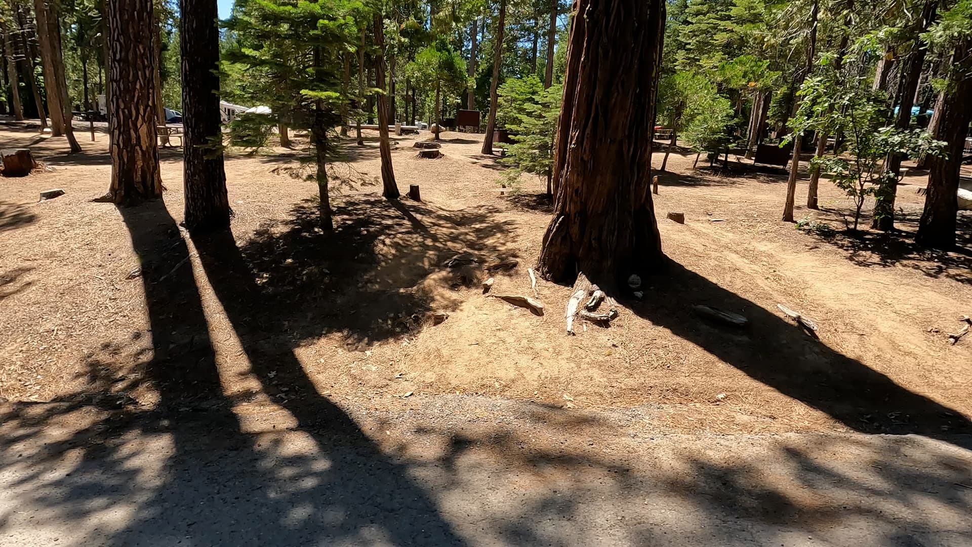 Site 58
