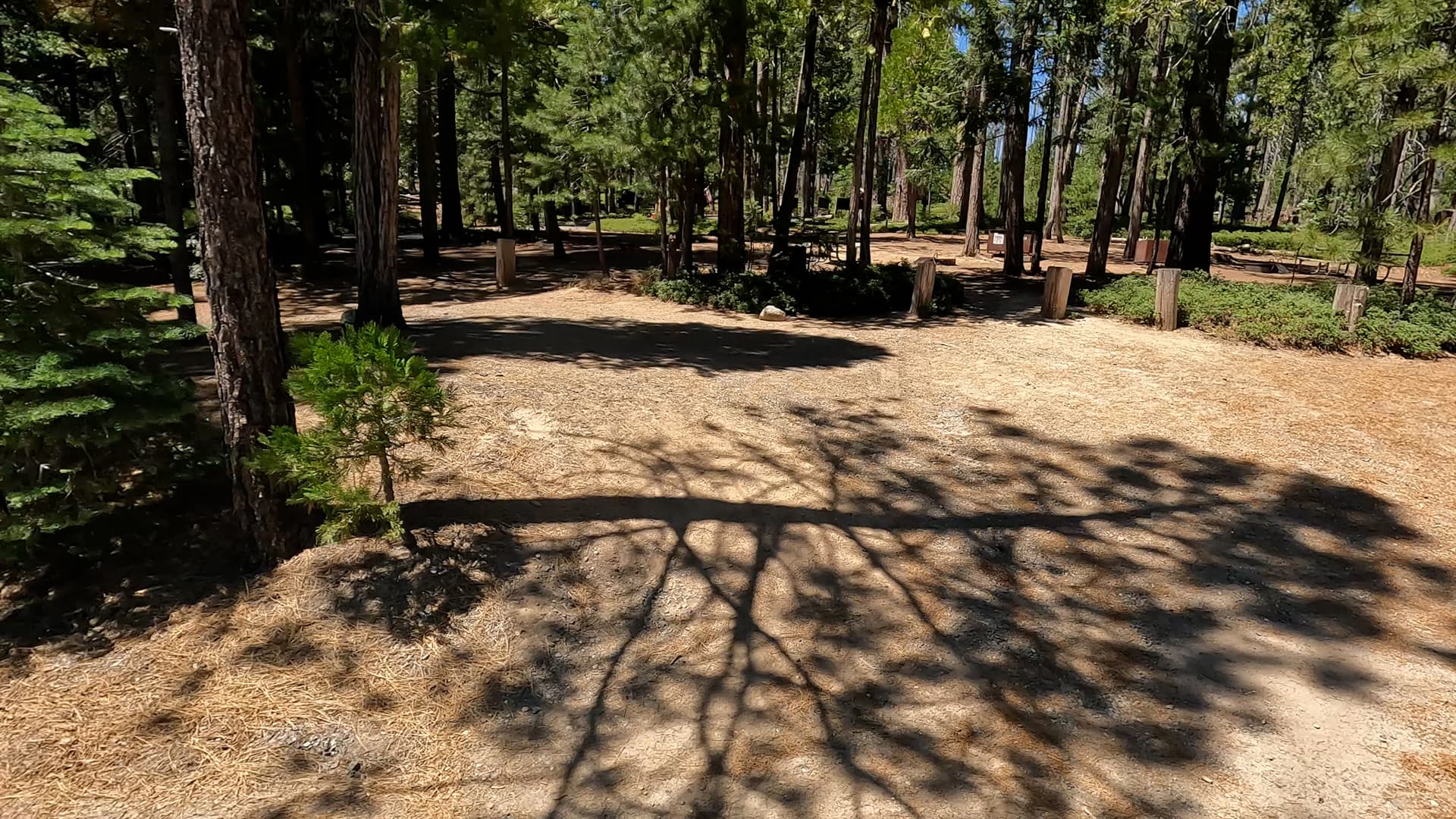 Site 84