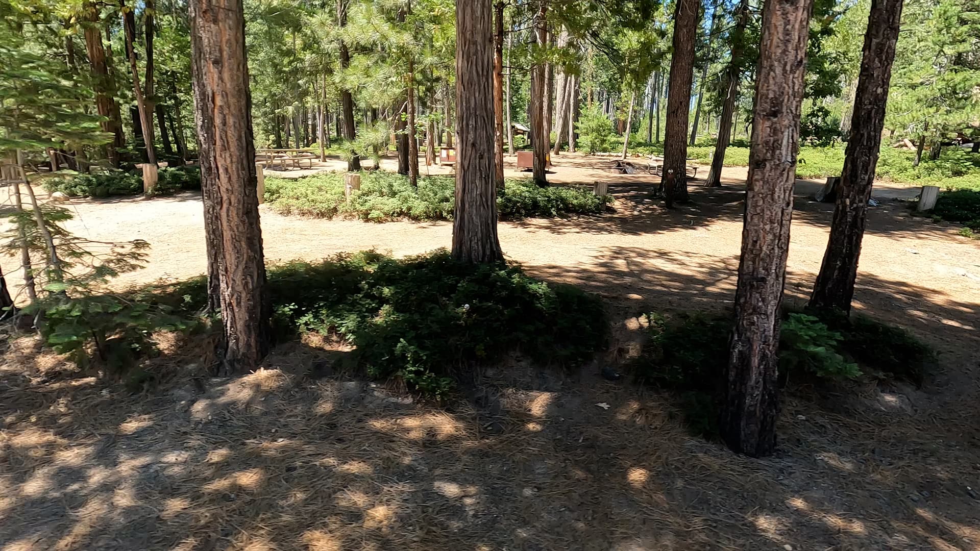 Site 83