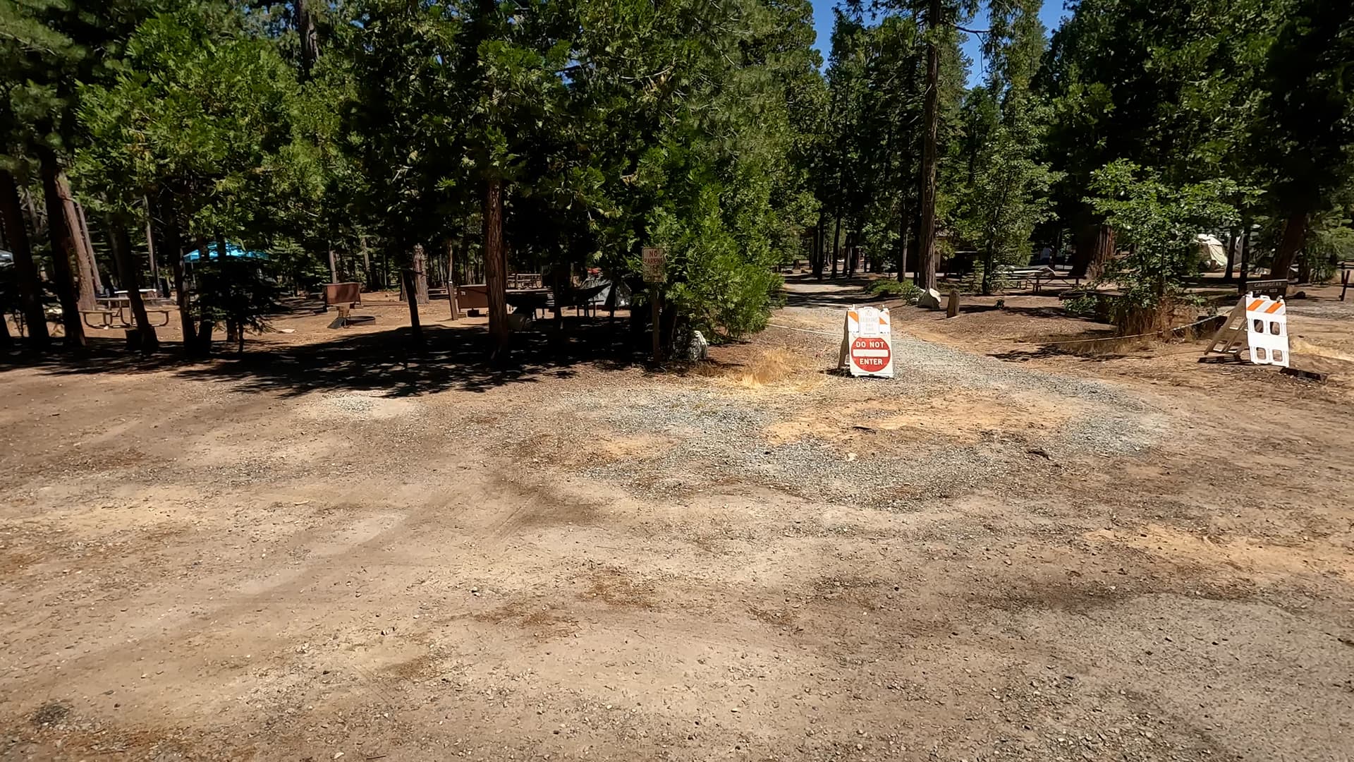 Site 81