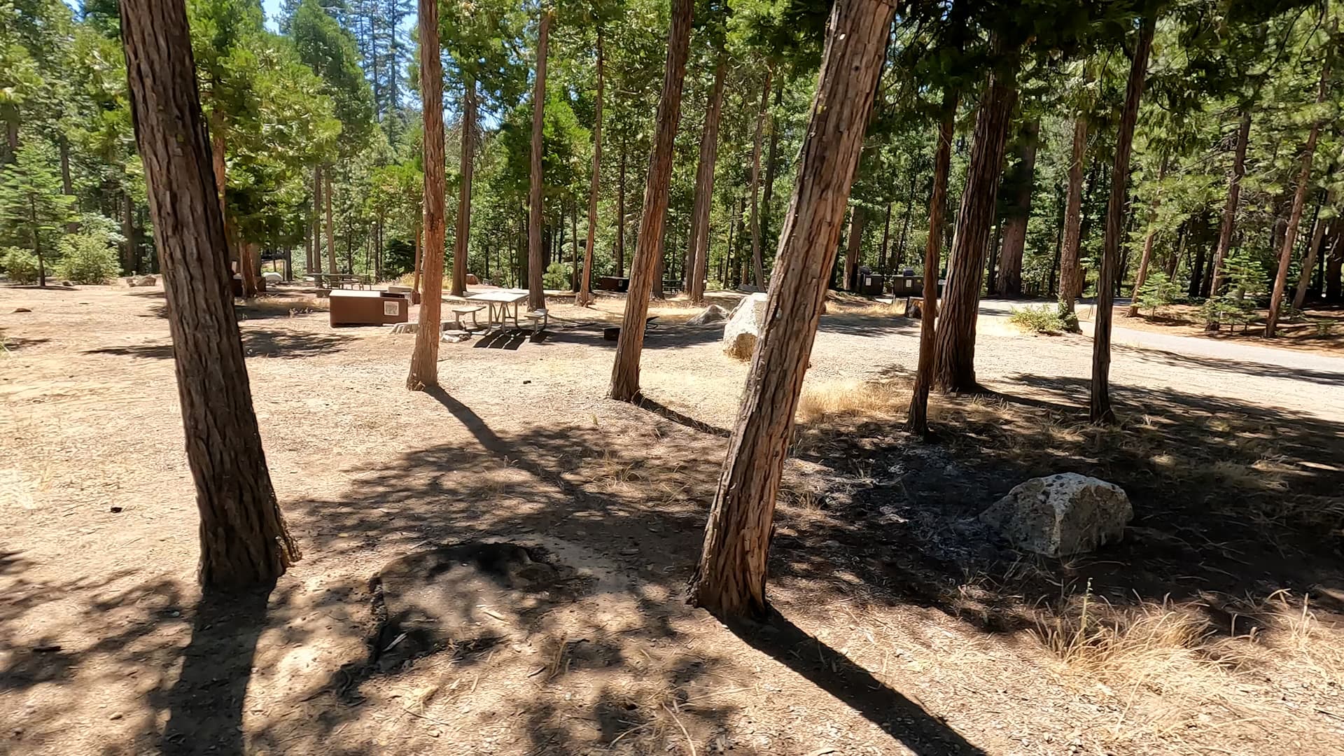 Site 86