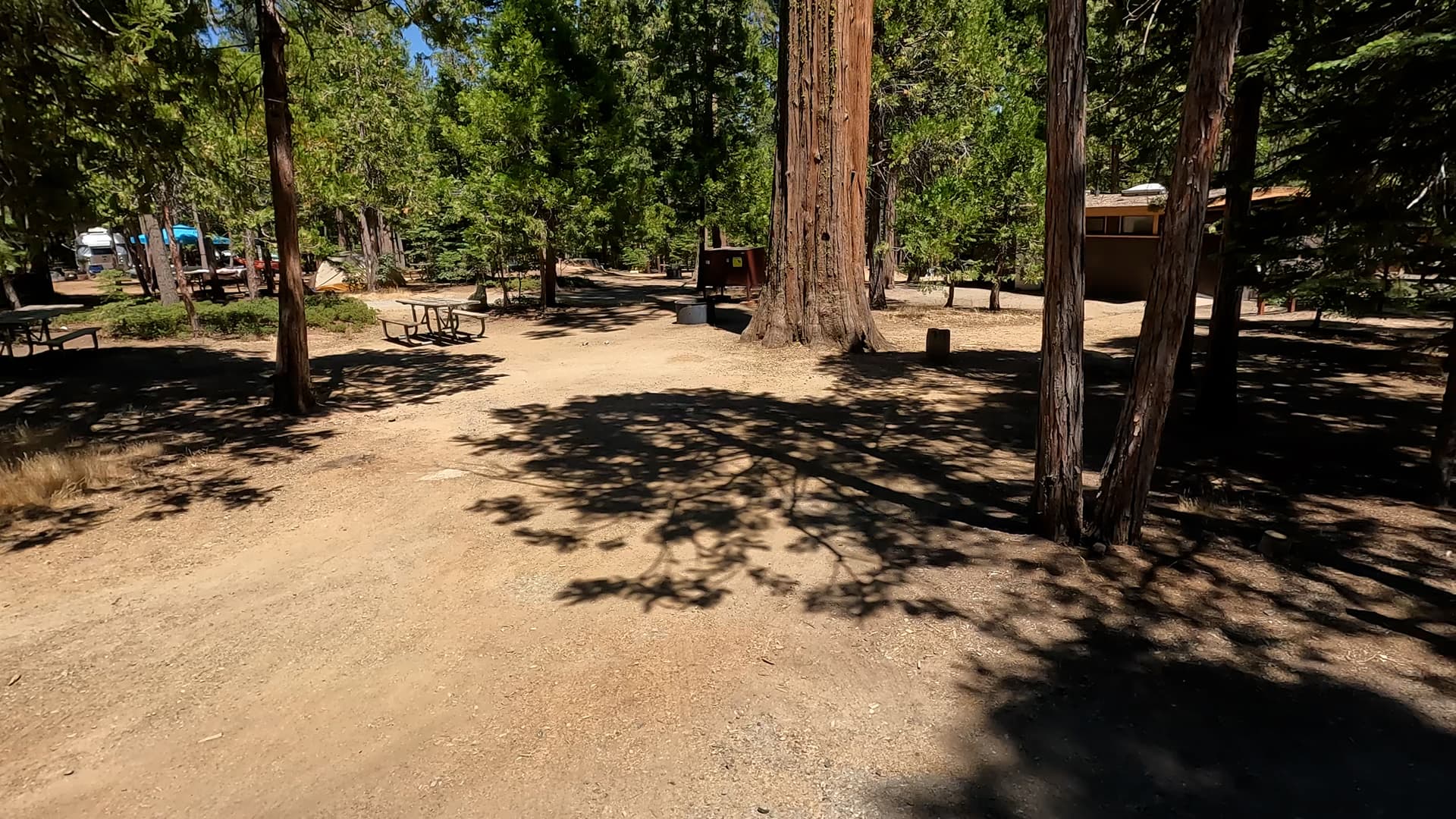 Site 88