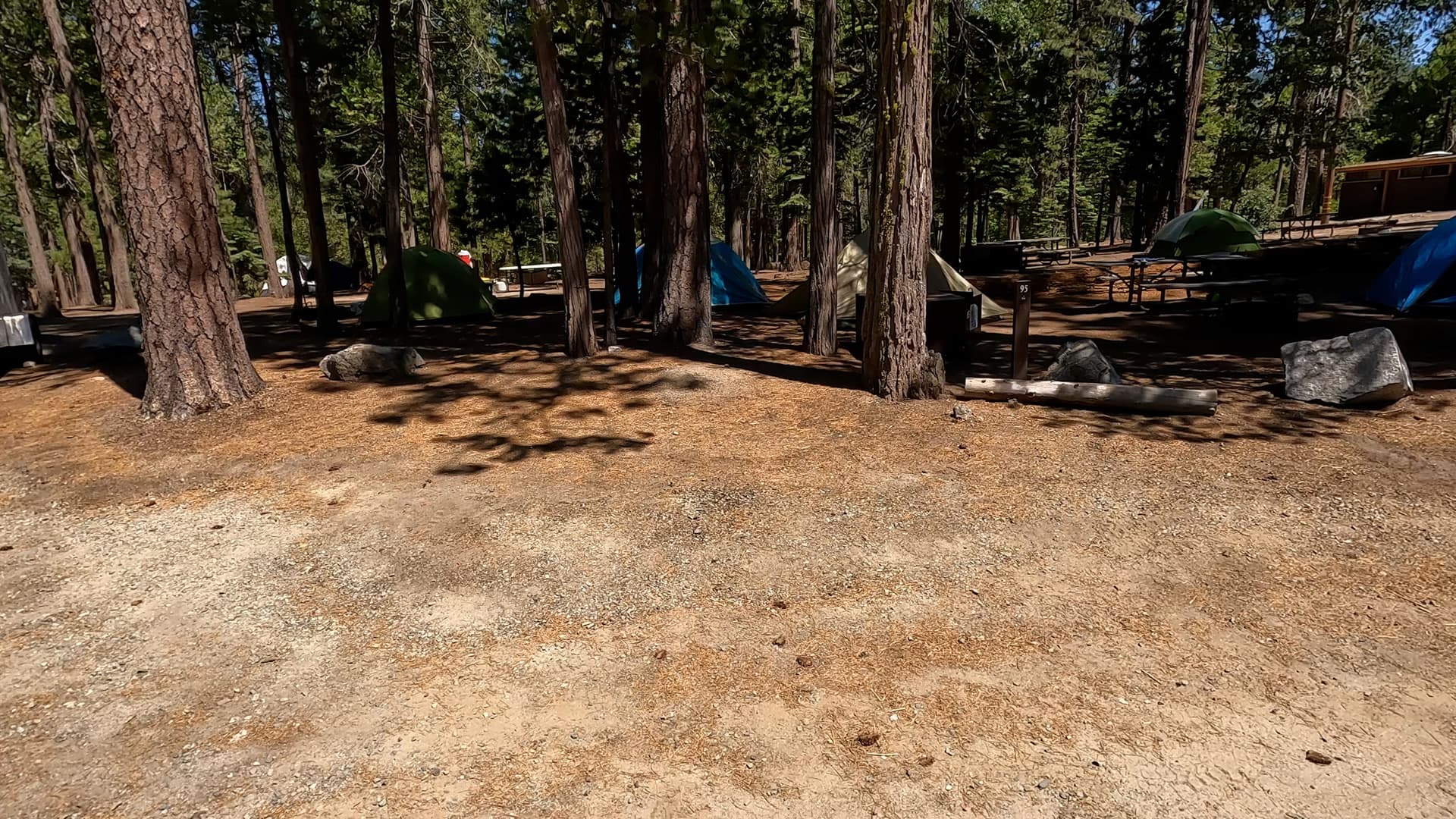 Site 95