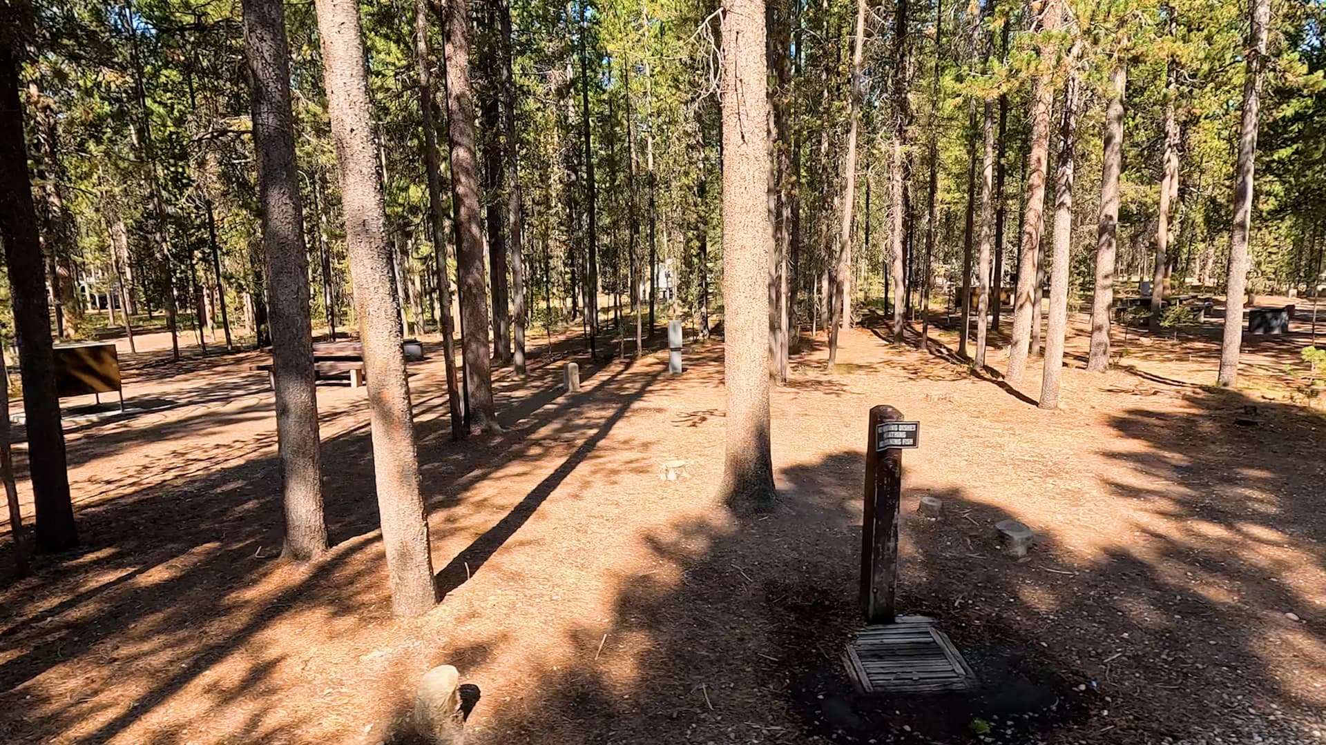 Site C22