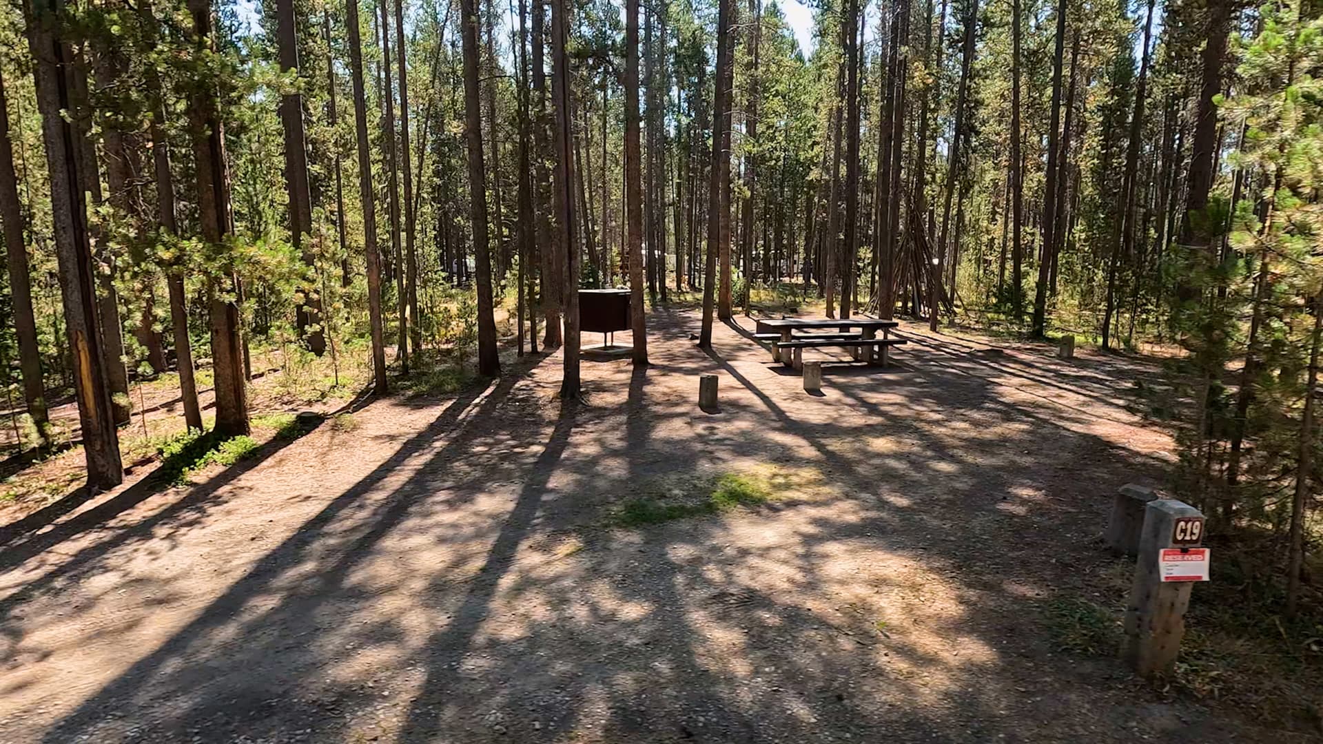 Site C19