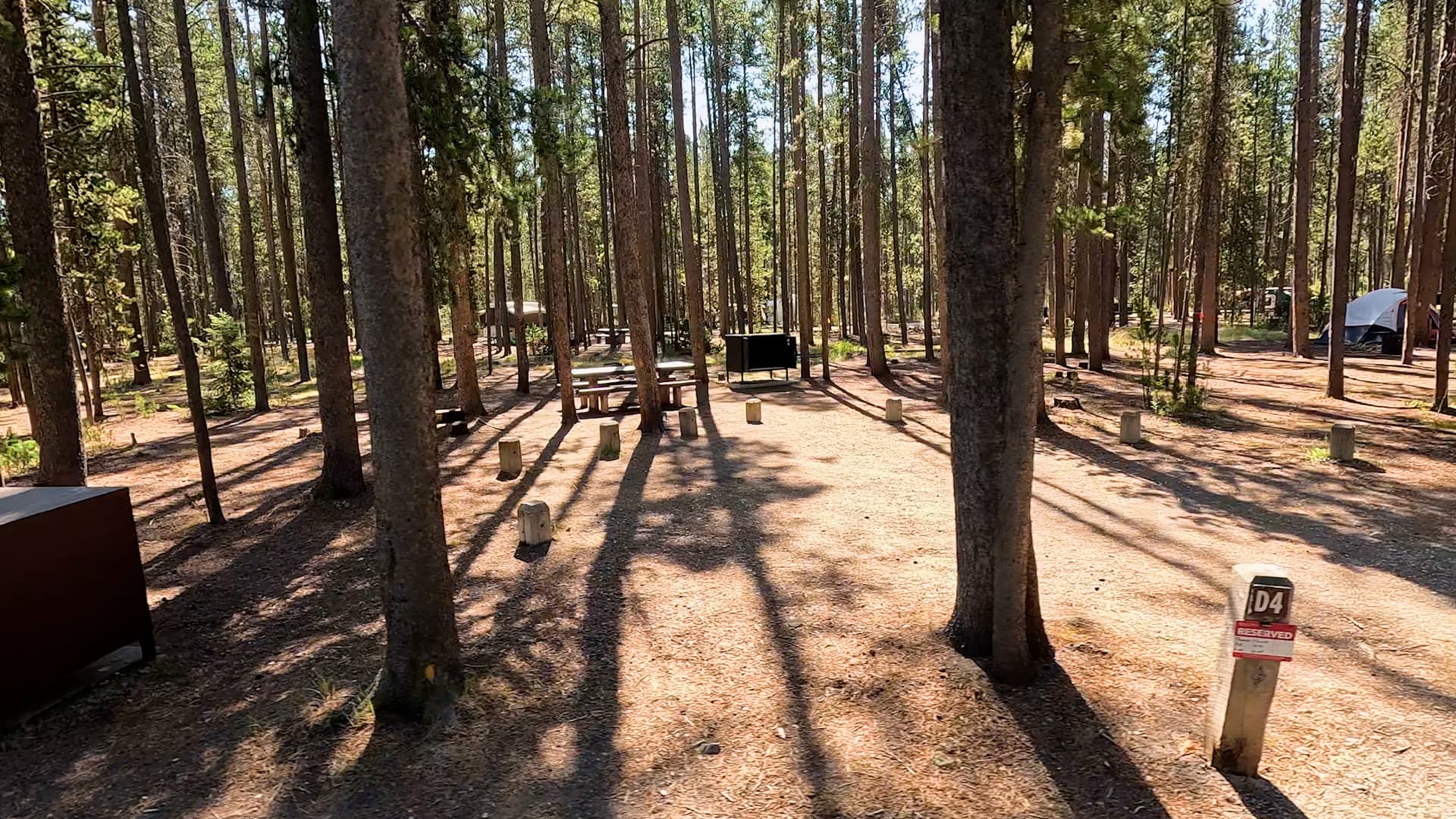 Site D4