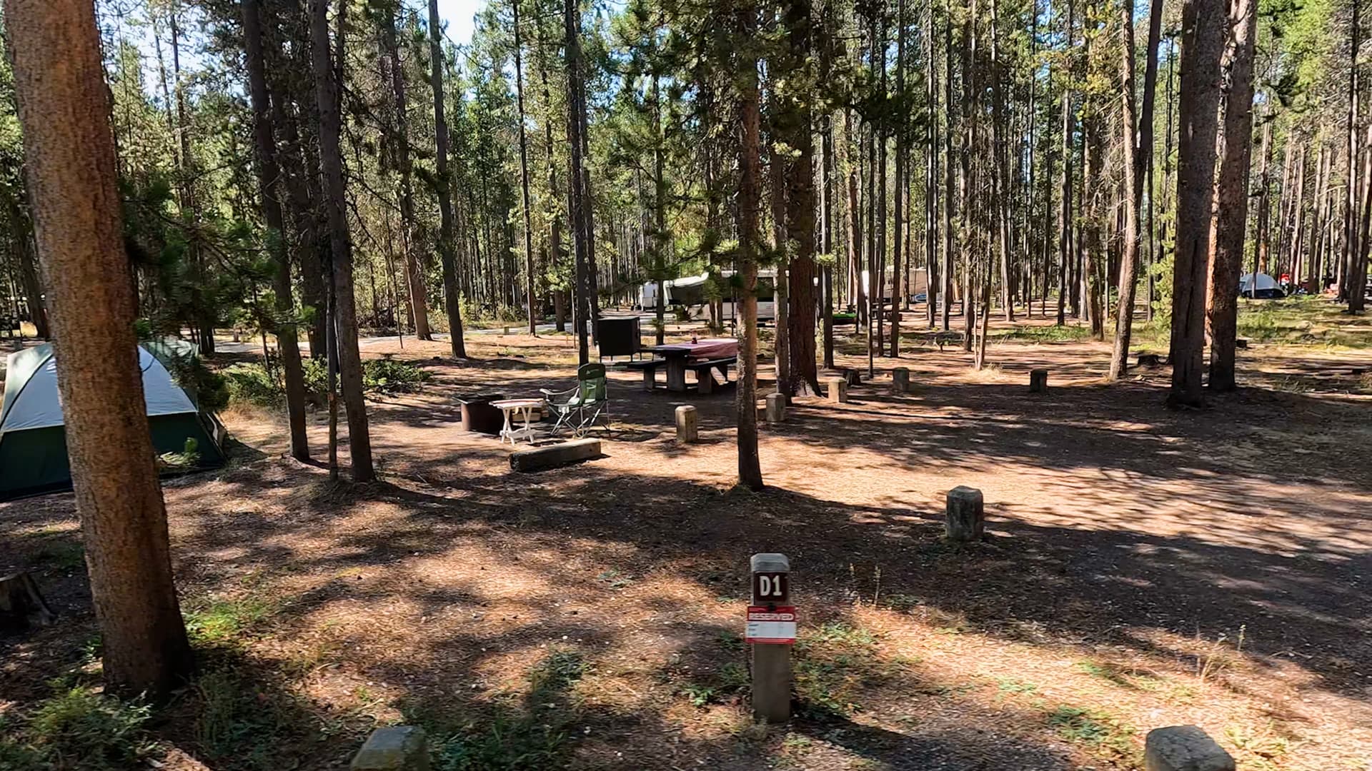 Site D1