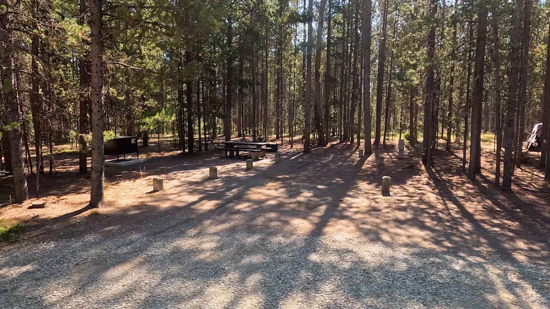 Site C24