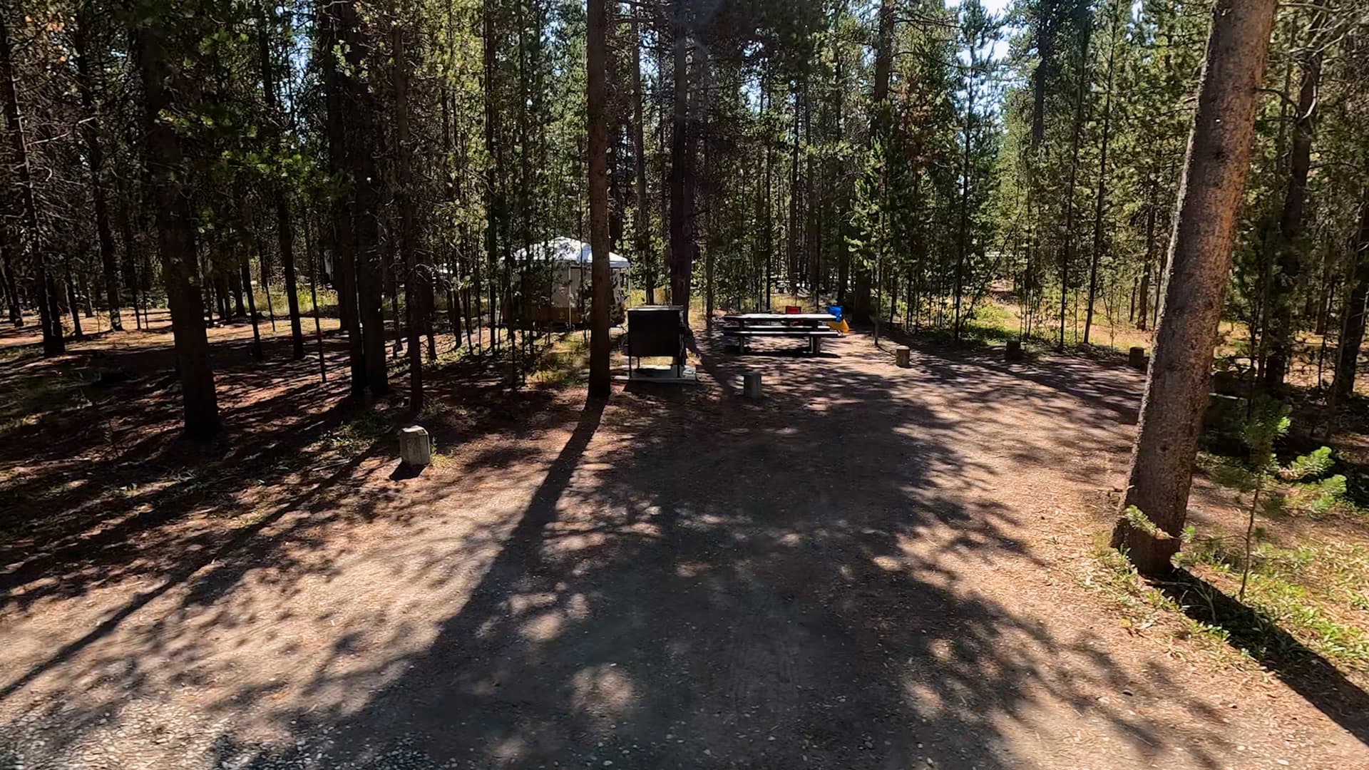 Site D19