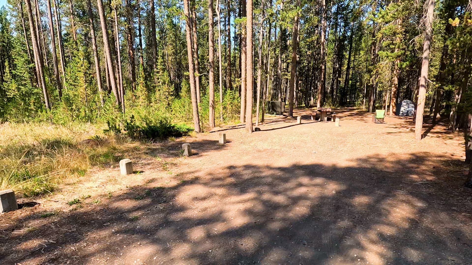 Site D9