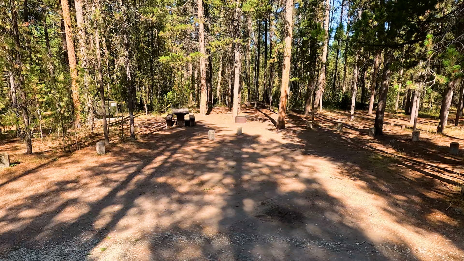 Site D5