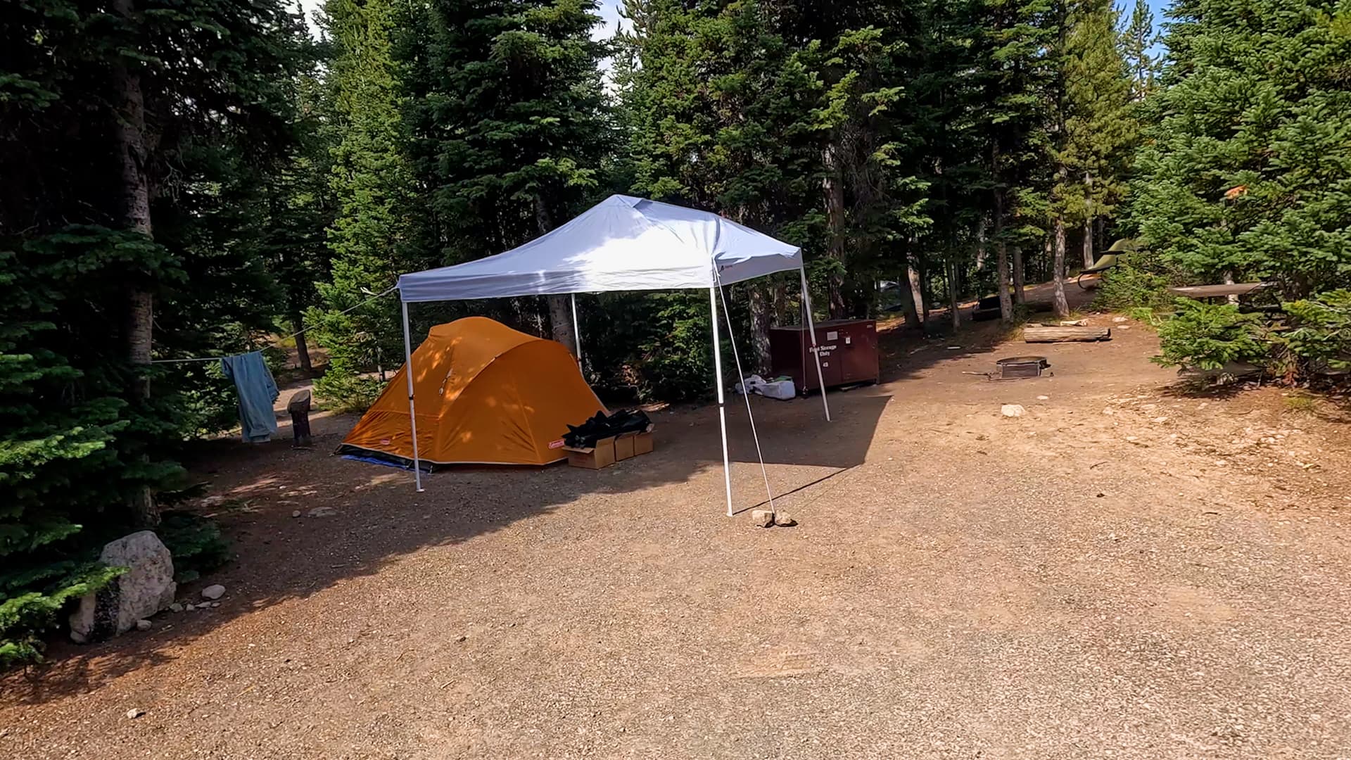 Site C43