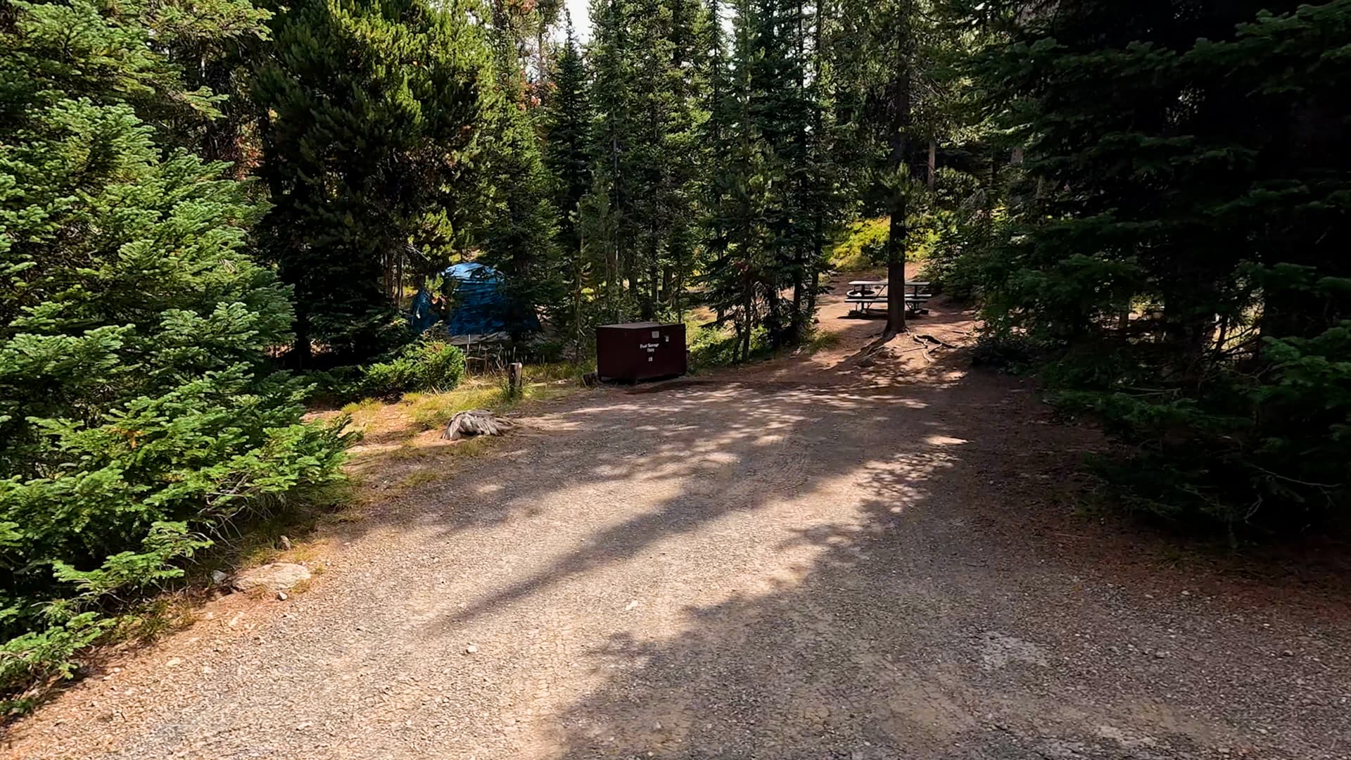 Site C25